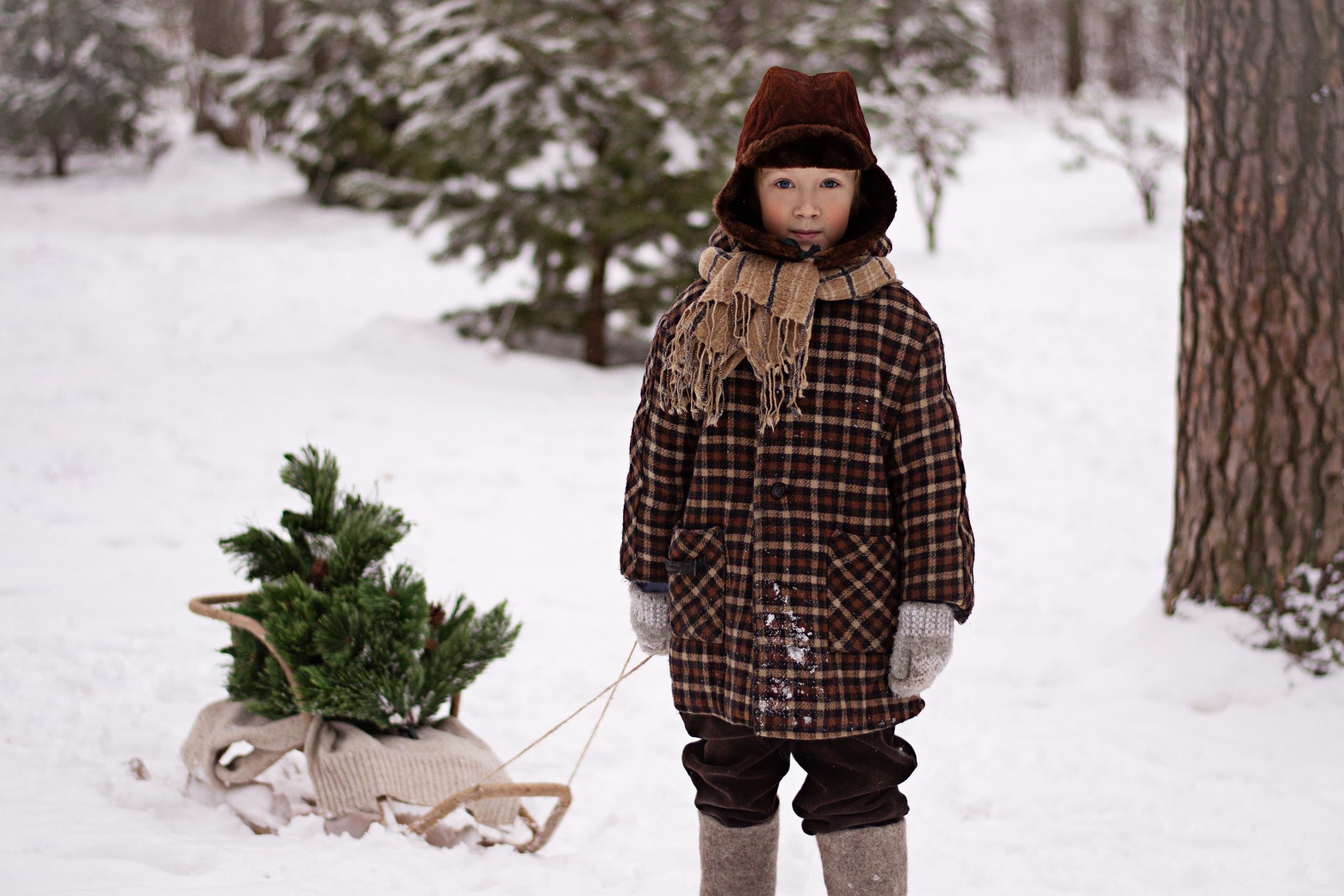 Рождественское чудо. Семейный и детский фотограф