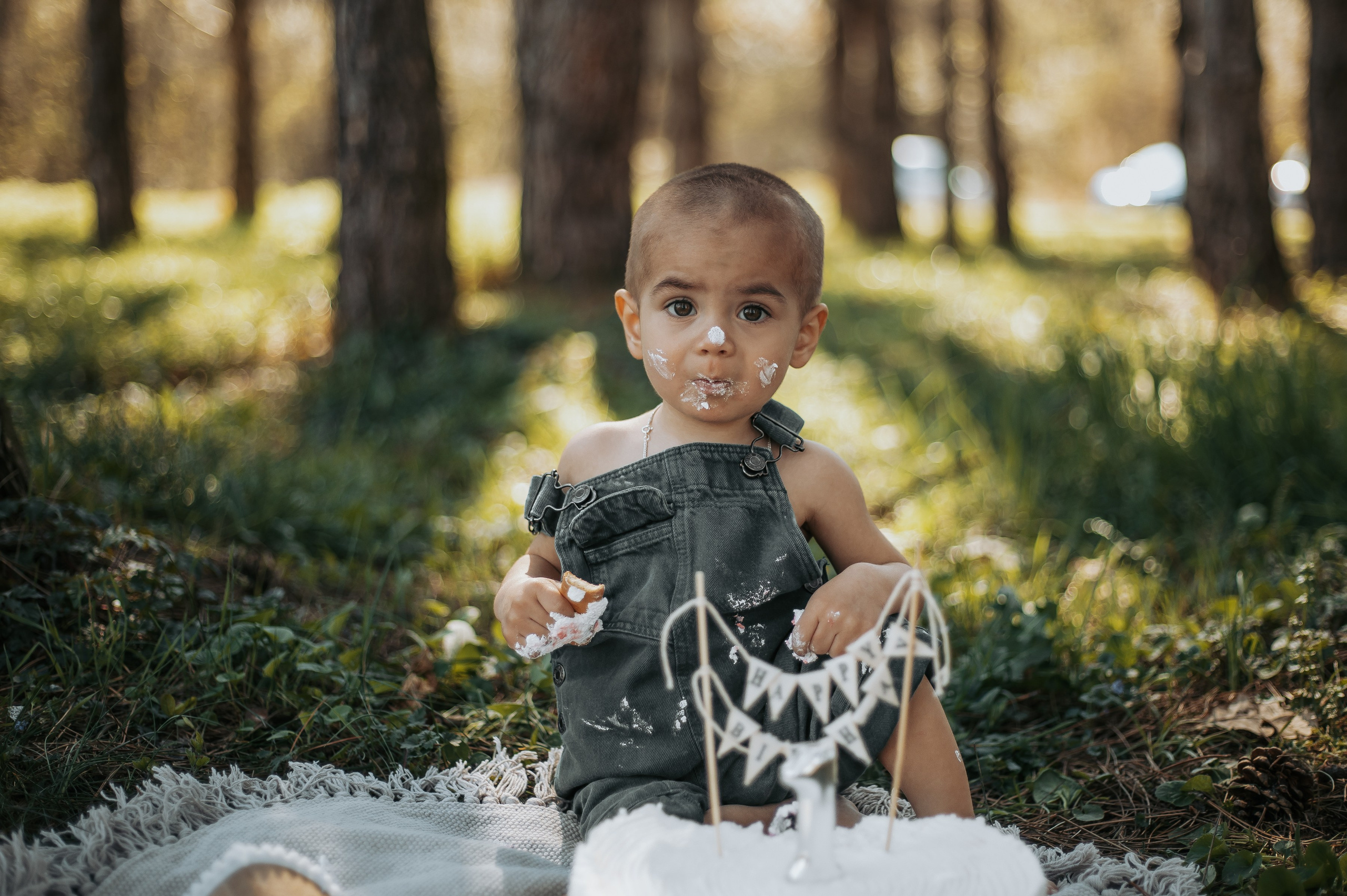 Smash Cake Photography. Family and Wedding Photographer