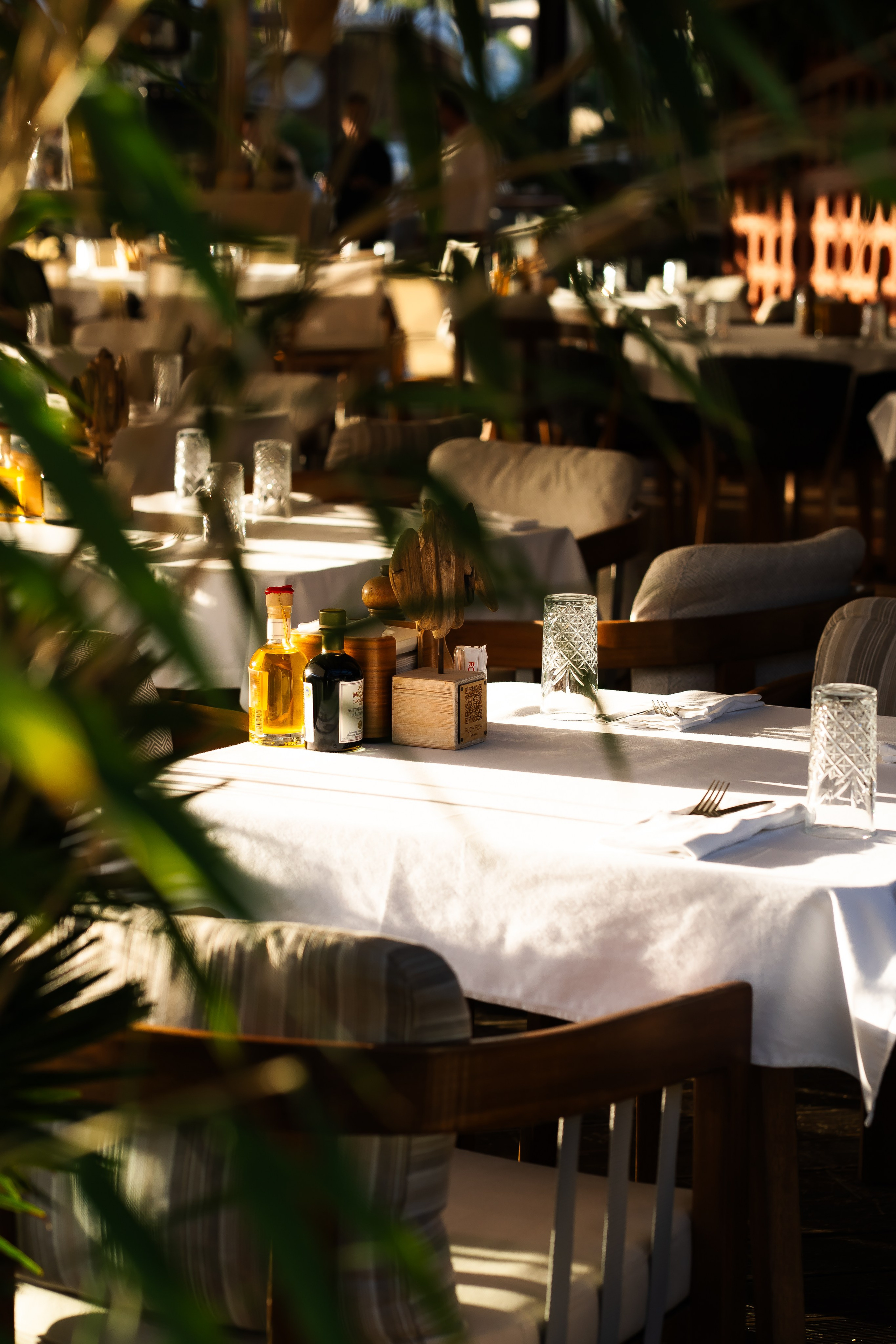 RESTAURANT. Montenegro photographer and videographer