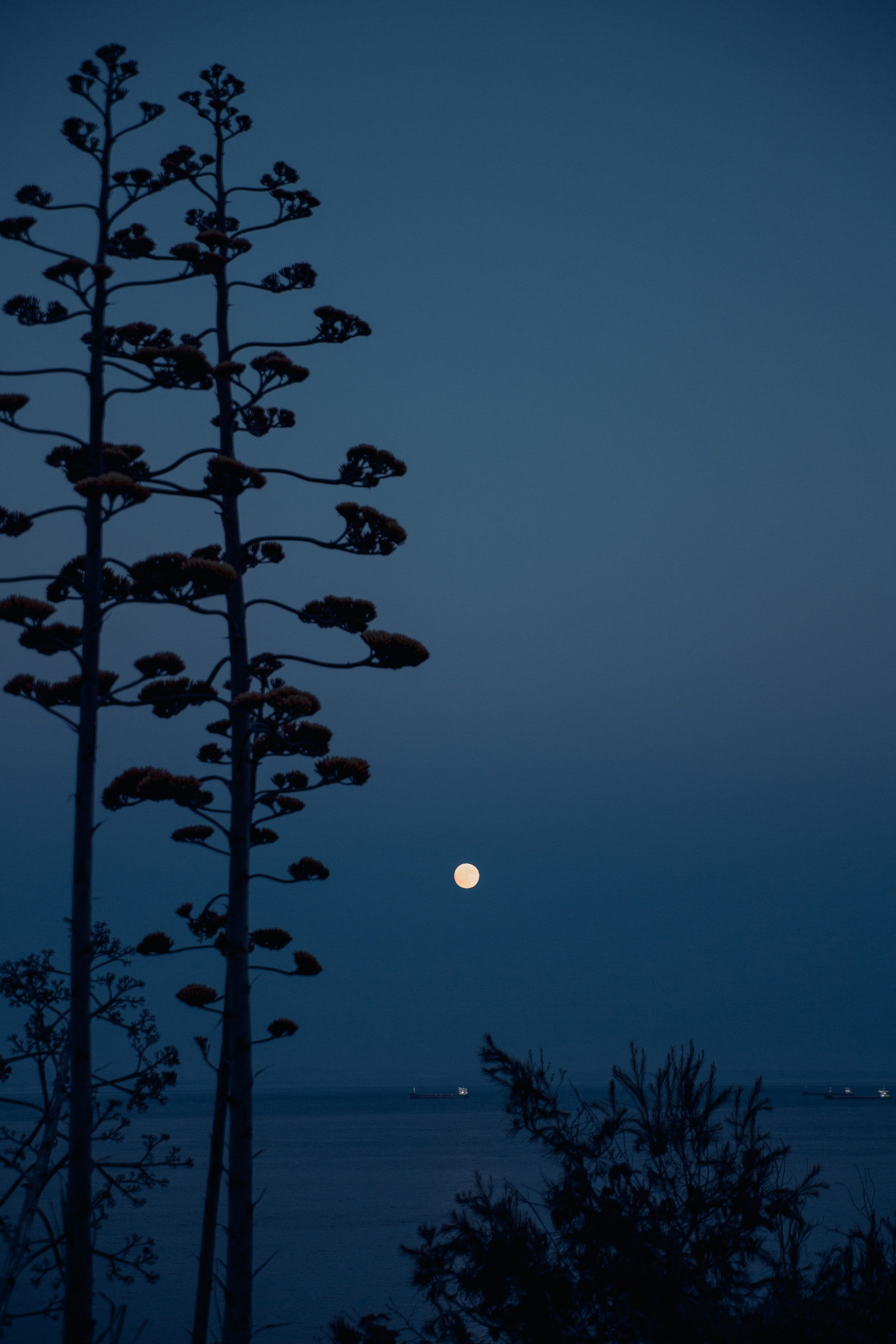 Paisagens. Thiago Chinellato