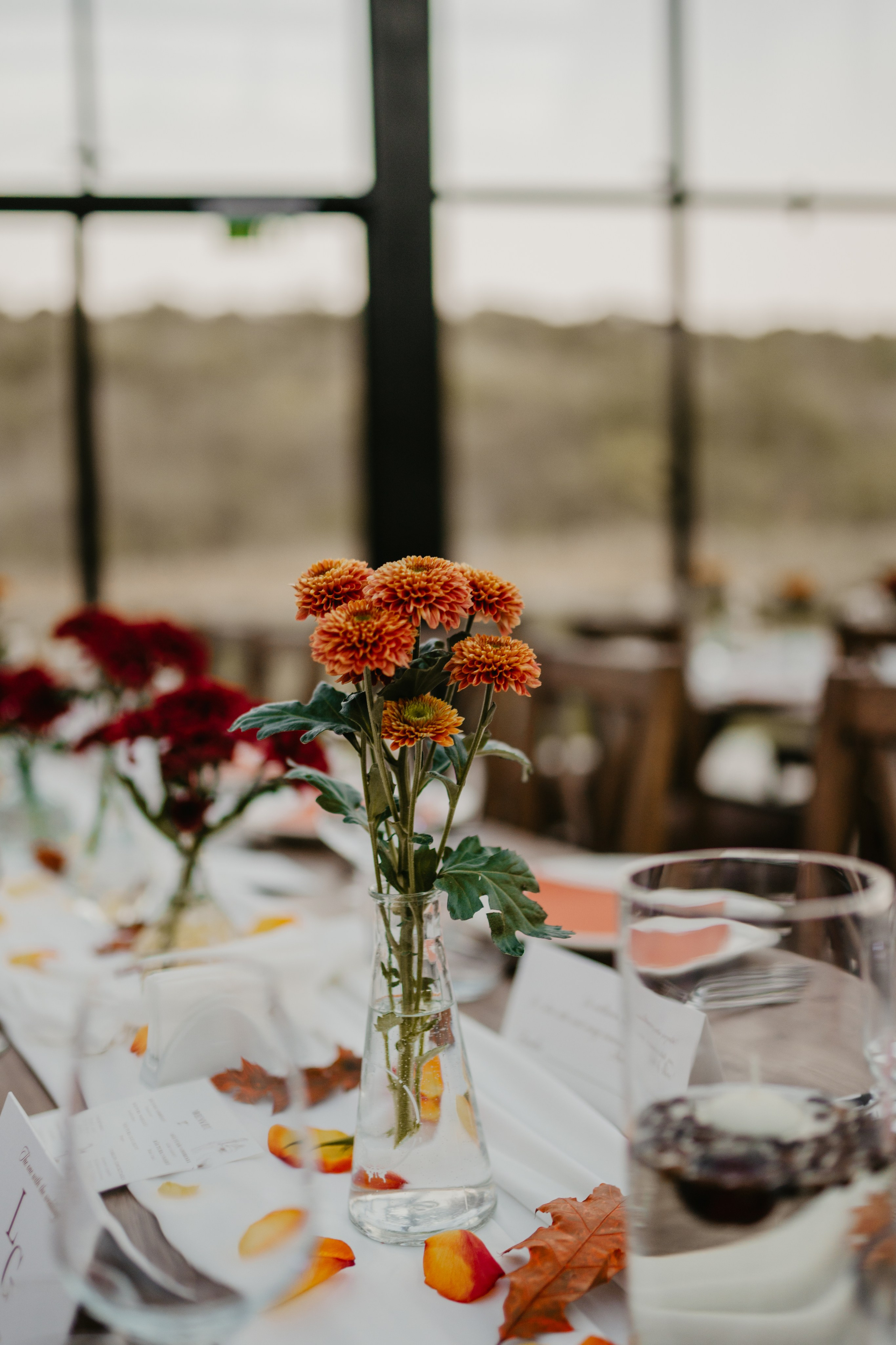 Lavinia & Gabriel. Gabrielacojocariu.com