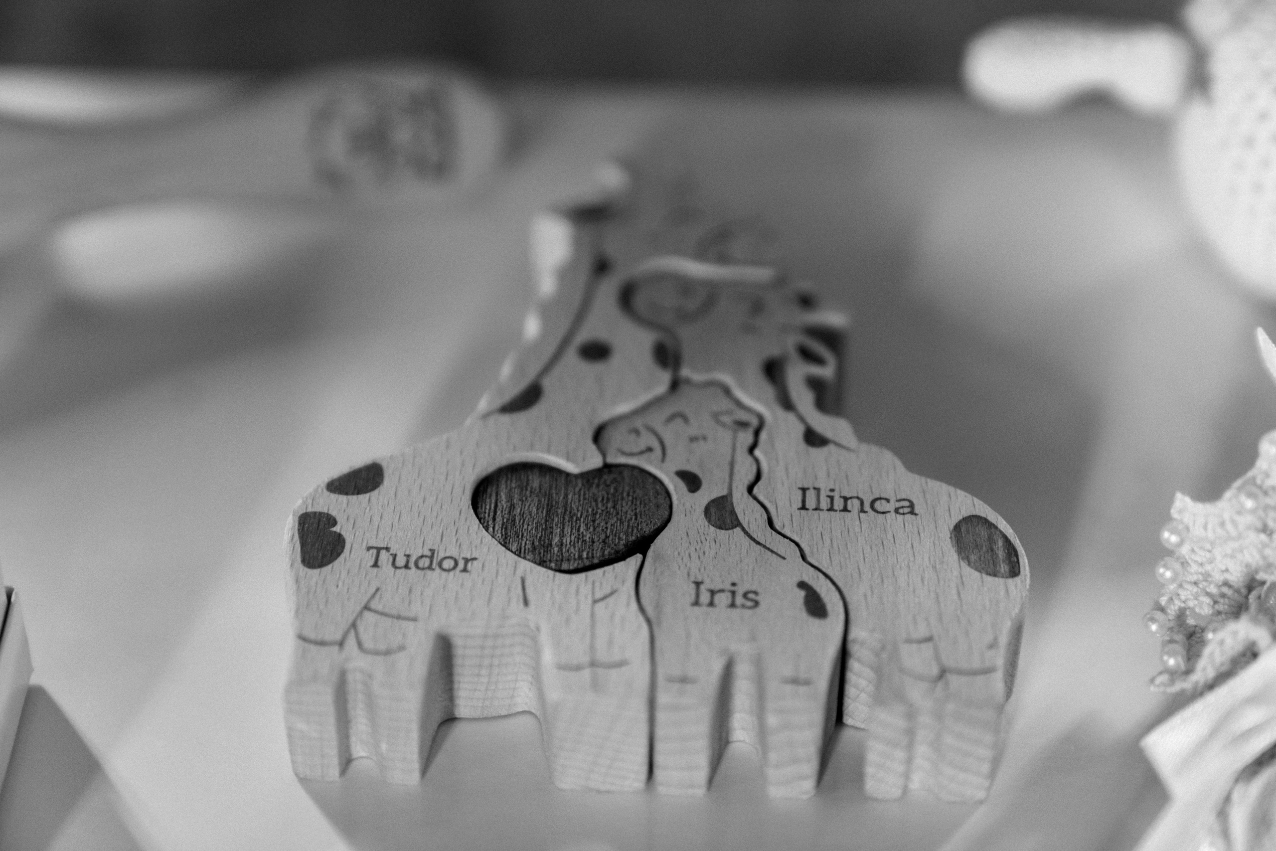 Baby Iris. Gabrielacojocariu.com