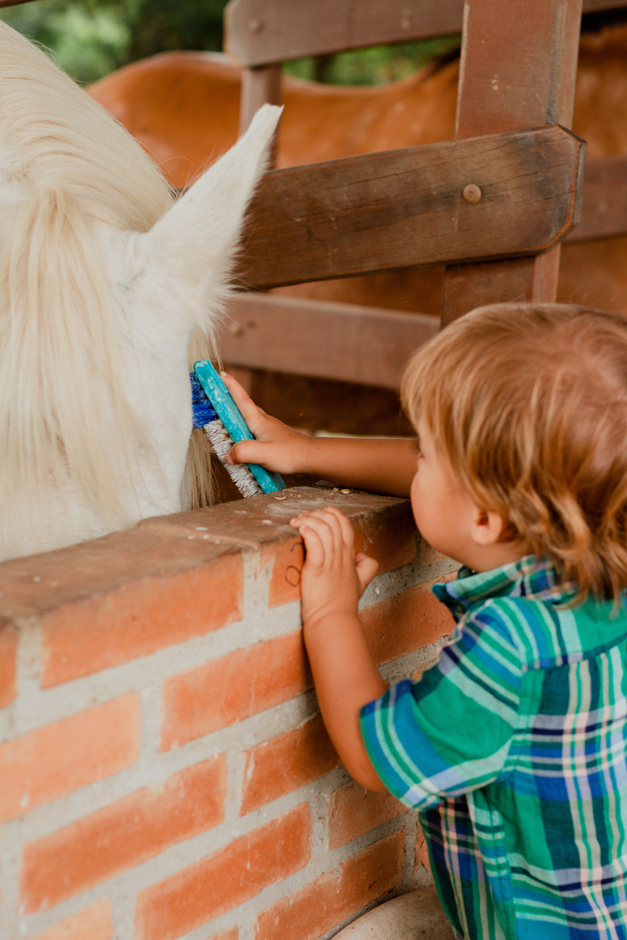 Fotografia de Aniversário Infantil em Holambra – Theo, 2 anos | Joyce Maria. Joyce Maria Fotografia | Fotógrafa em Holambra