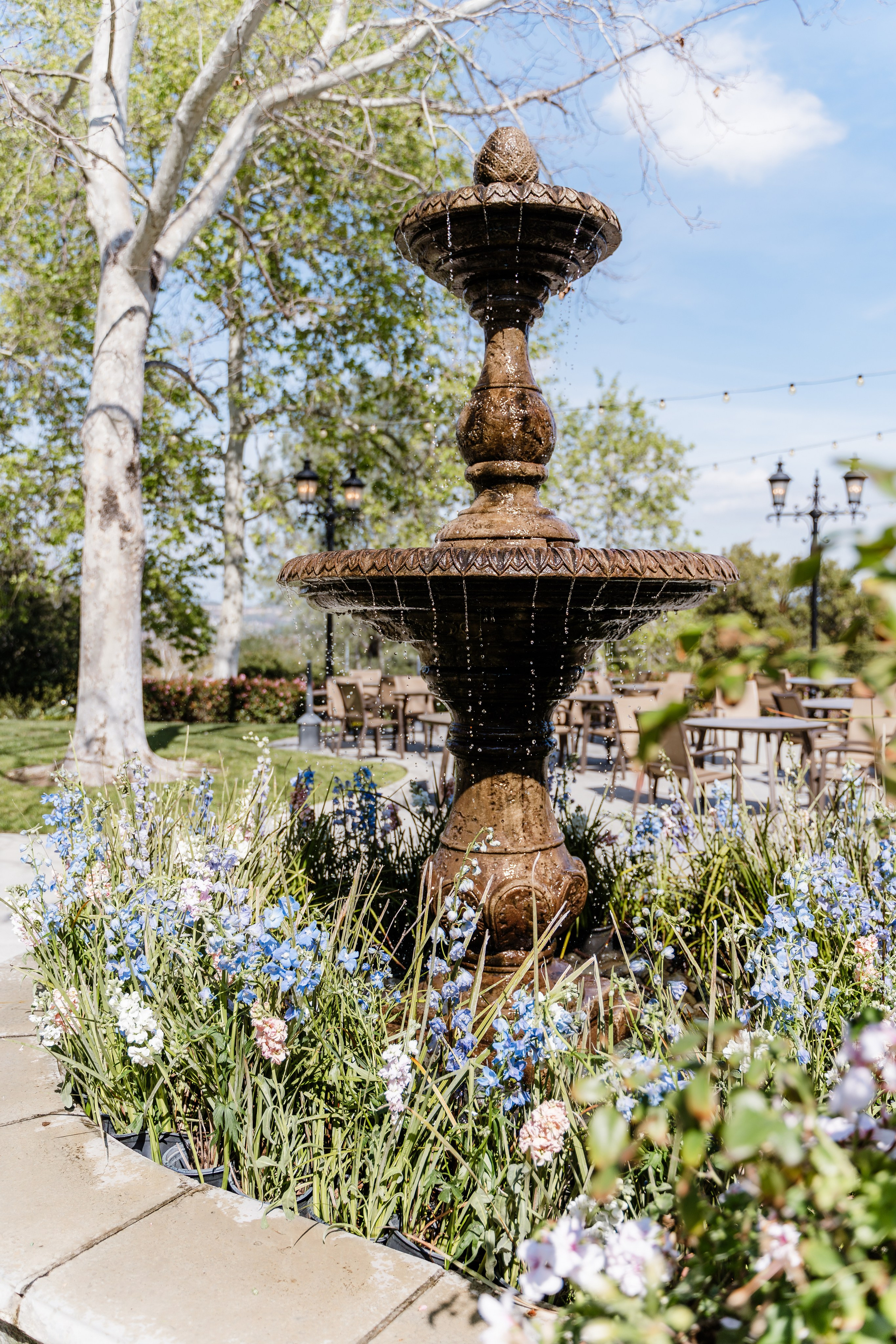 Daniel & Michelle Wedding. Pixel Pie — Wedding Photography & Videography