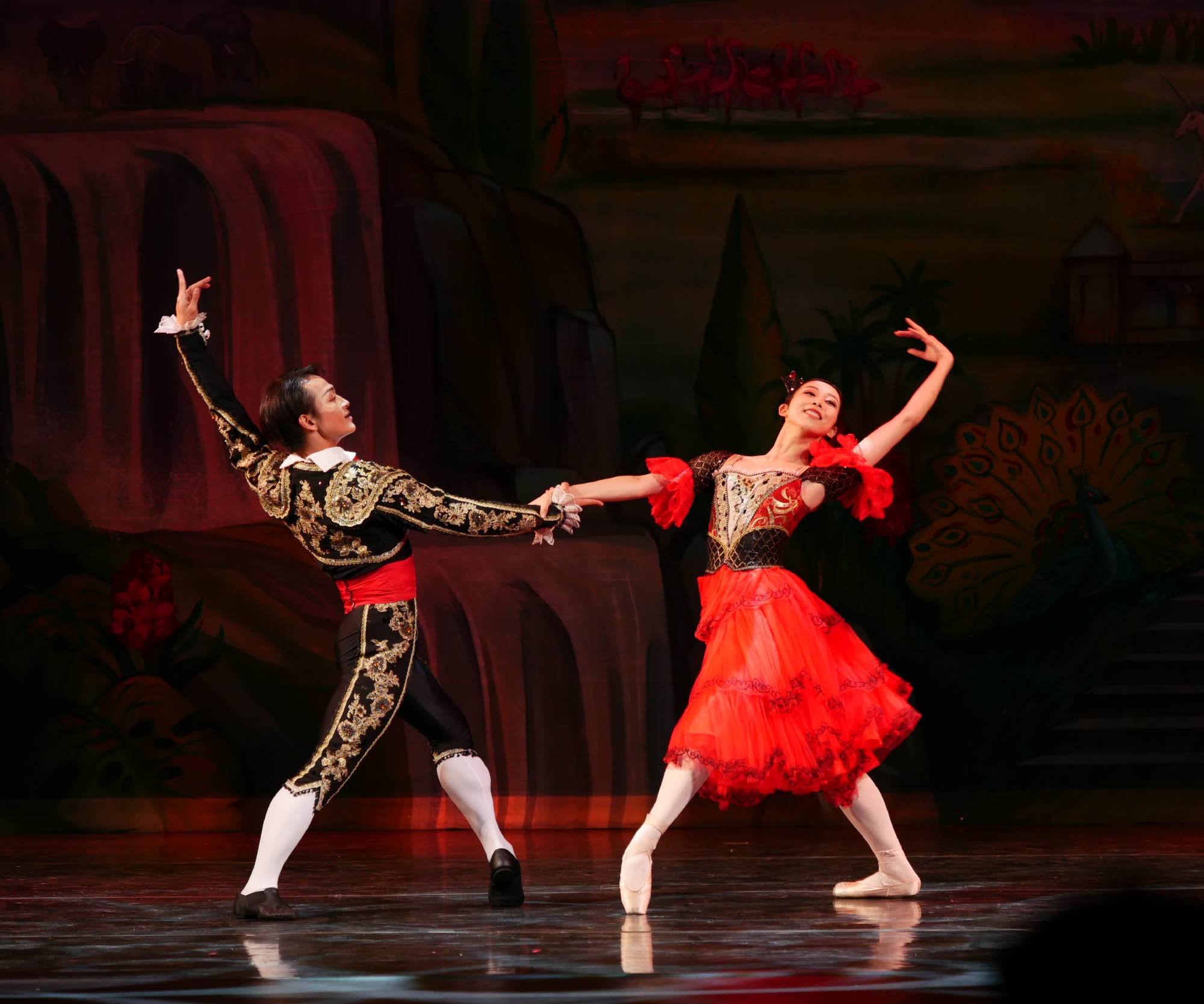 BALLETT. Fotograf in Köln, Bonn, Düsseldorf, Krefeld