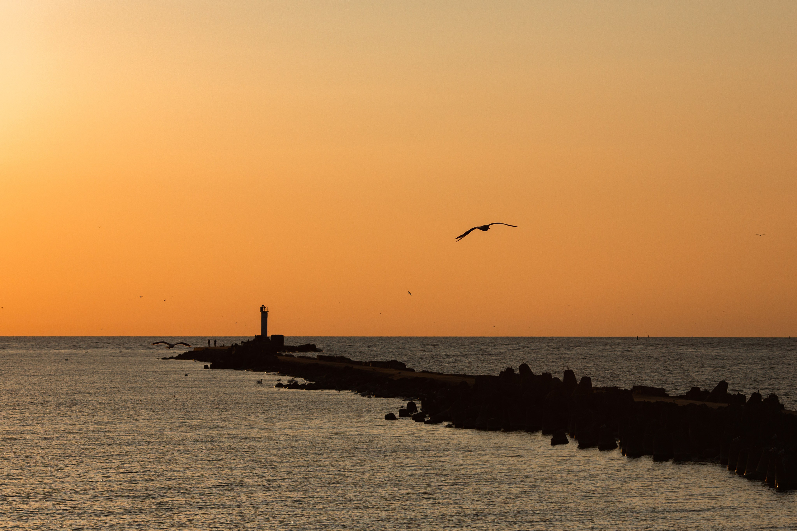 Konstantins un Elina. Jusu fotografs