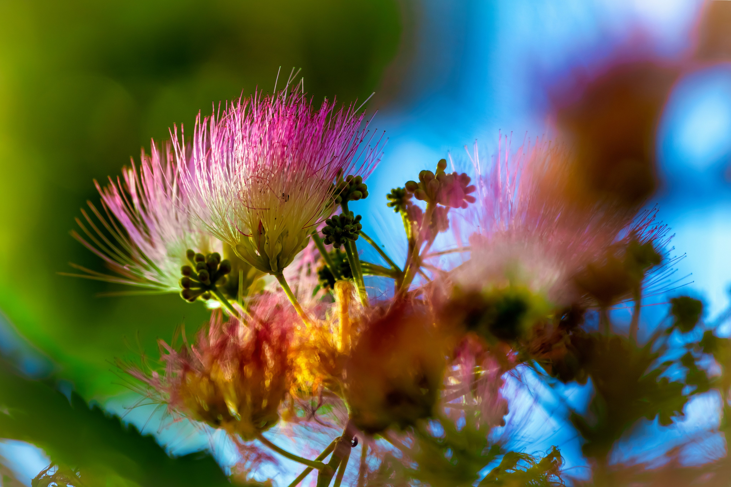 Portret bebeluș la botez realizat de Mitroi Iulian
