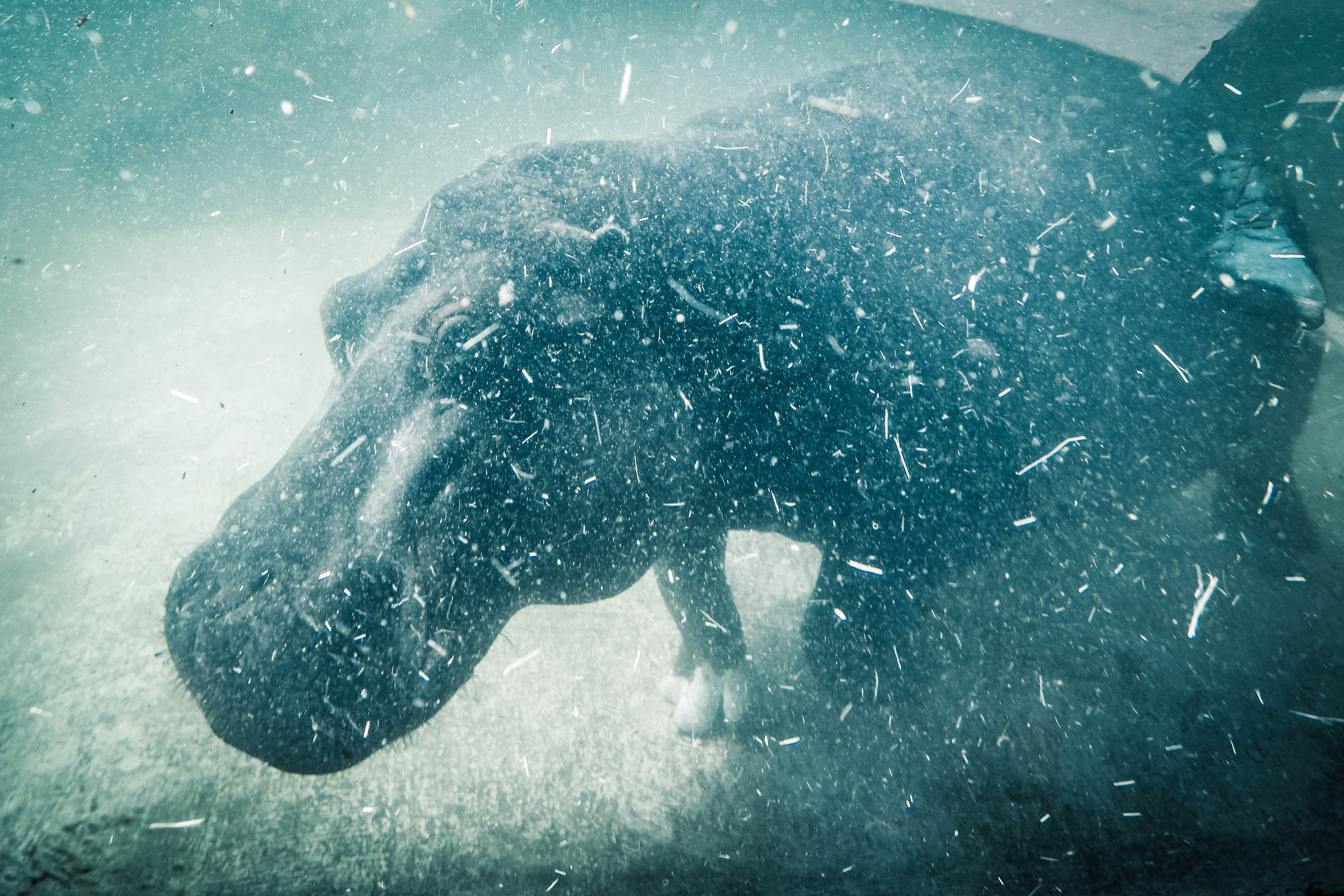 ЧЕХИЯ. Стрит-фотография, полная абсурда, идиотизма и красоты