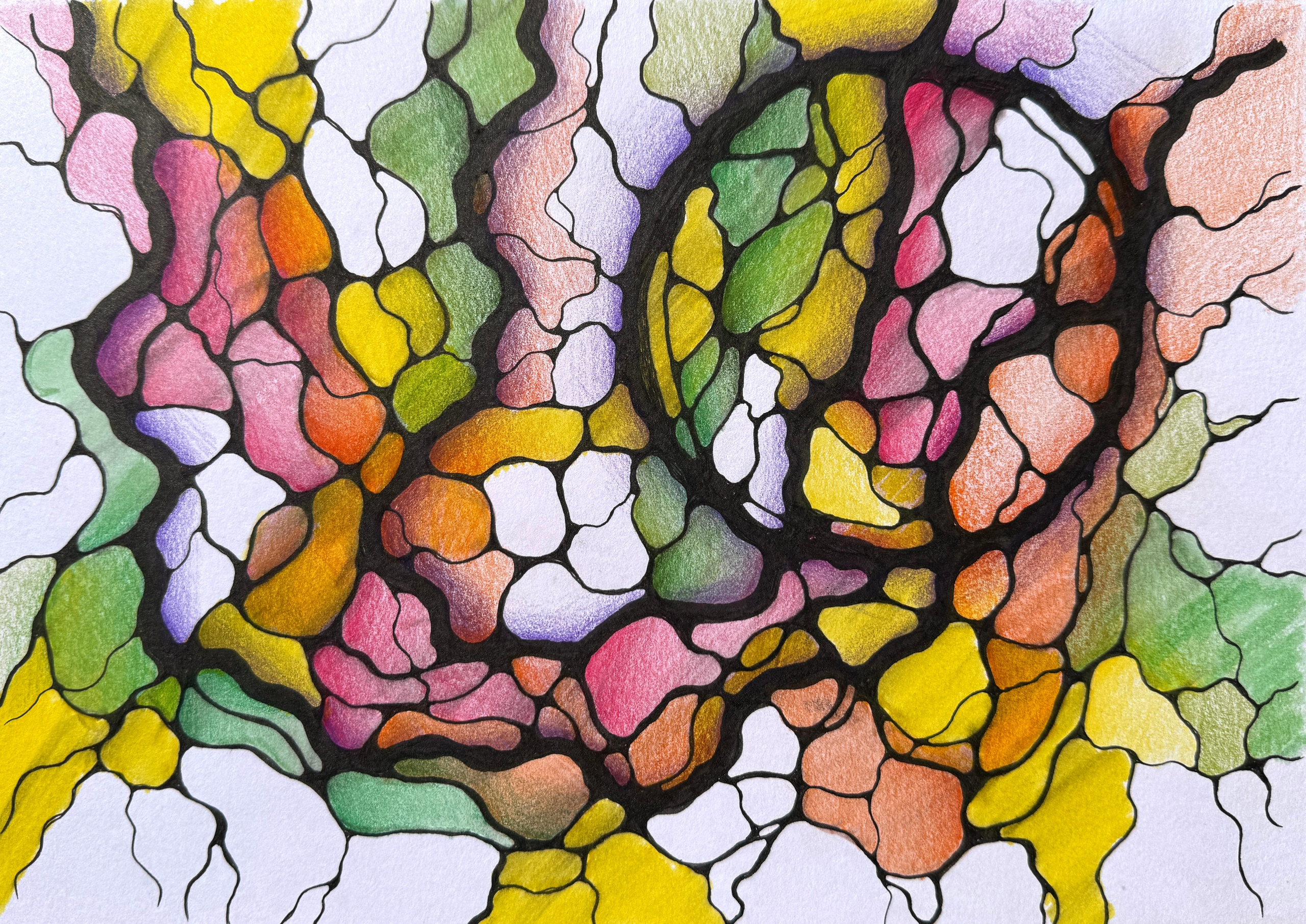 Moje slike. Numerologija. Nevrografika. Delavnice