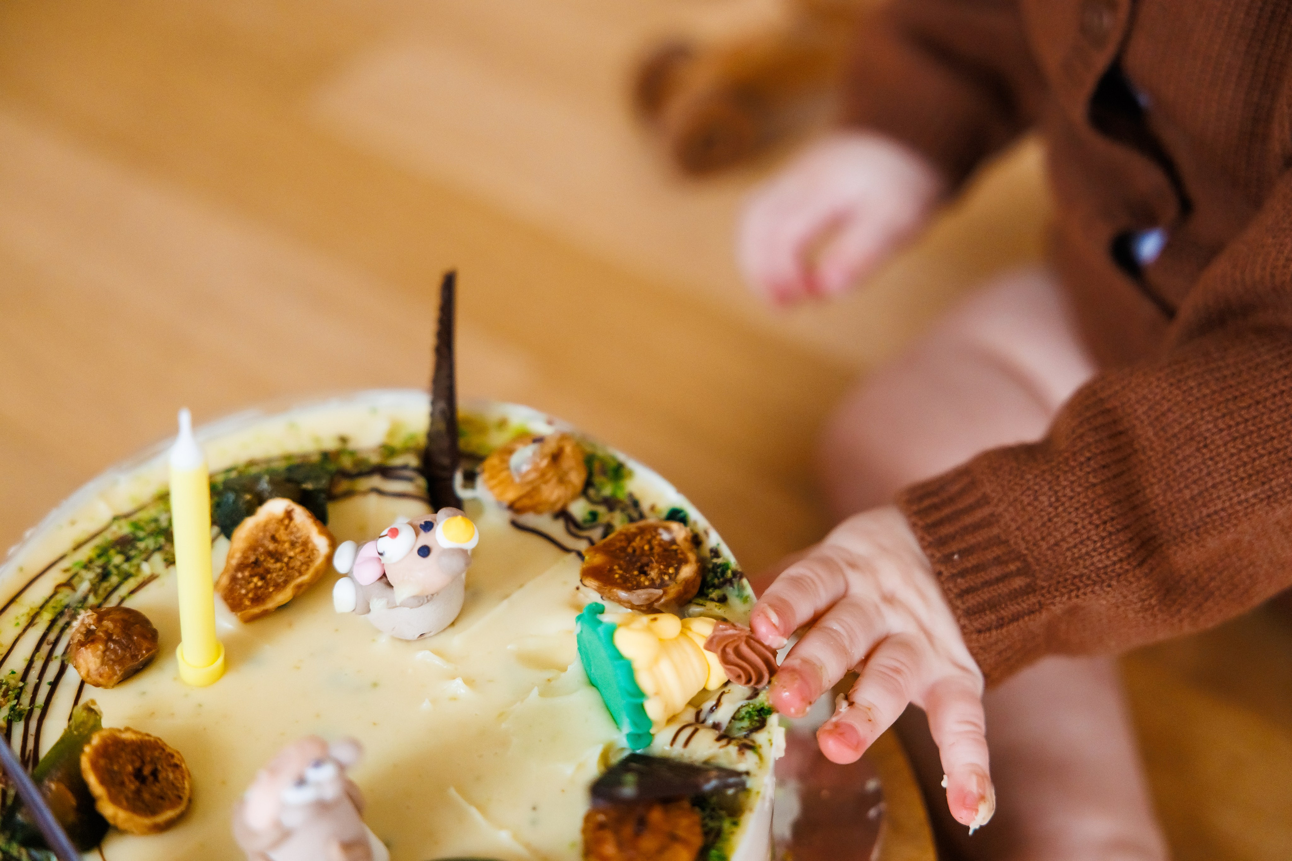 Честит Рожден Ден. Фотограф Ирина Йотова