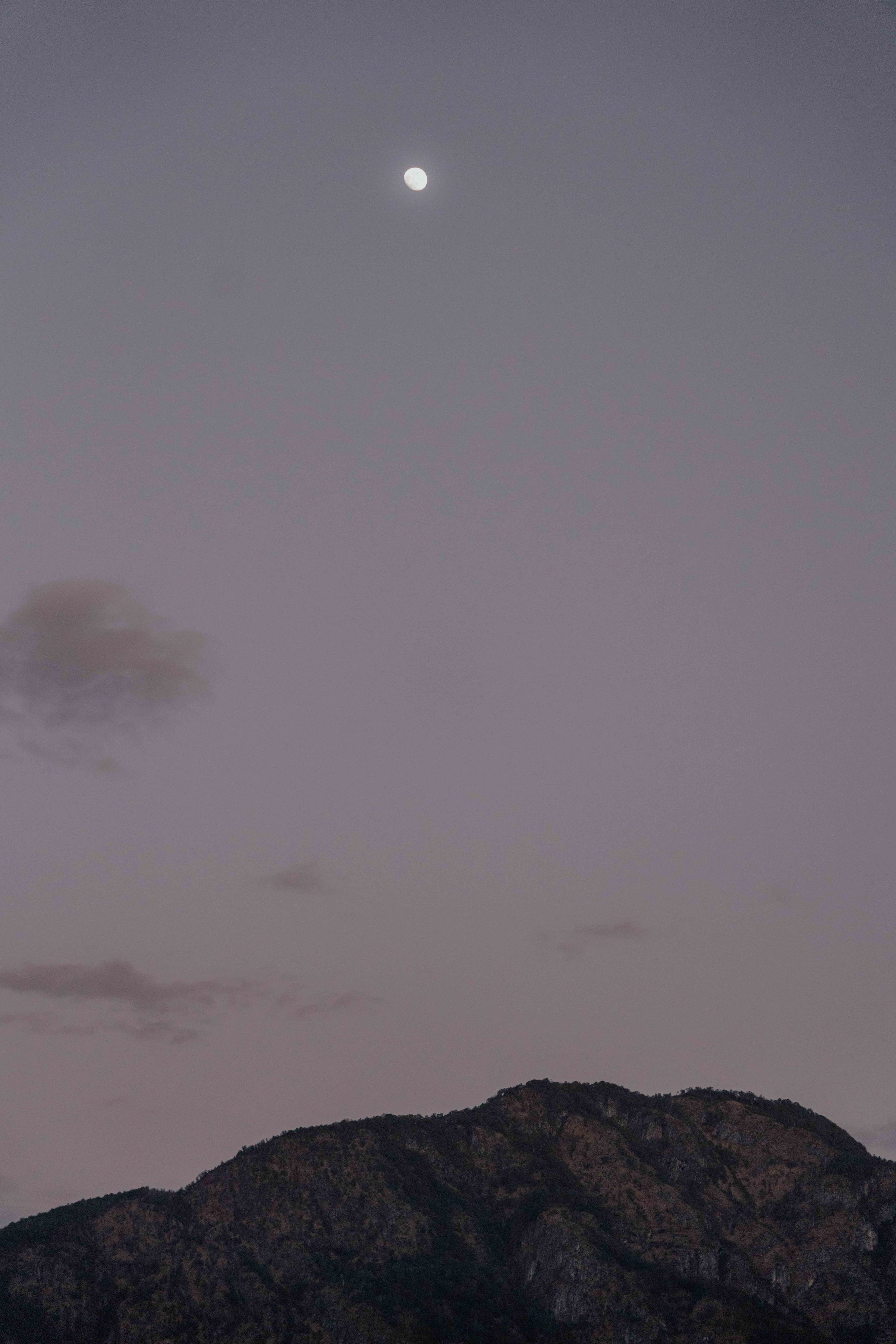 Lake Como Elopement Photographer | Intimate Wedding in Italy. Natasha Ferreira Photography