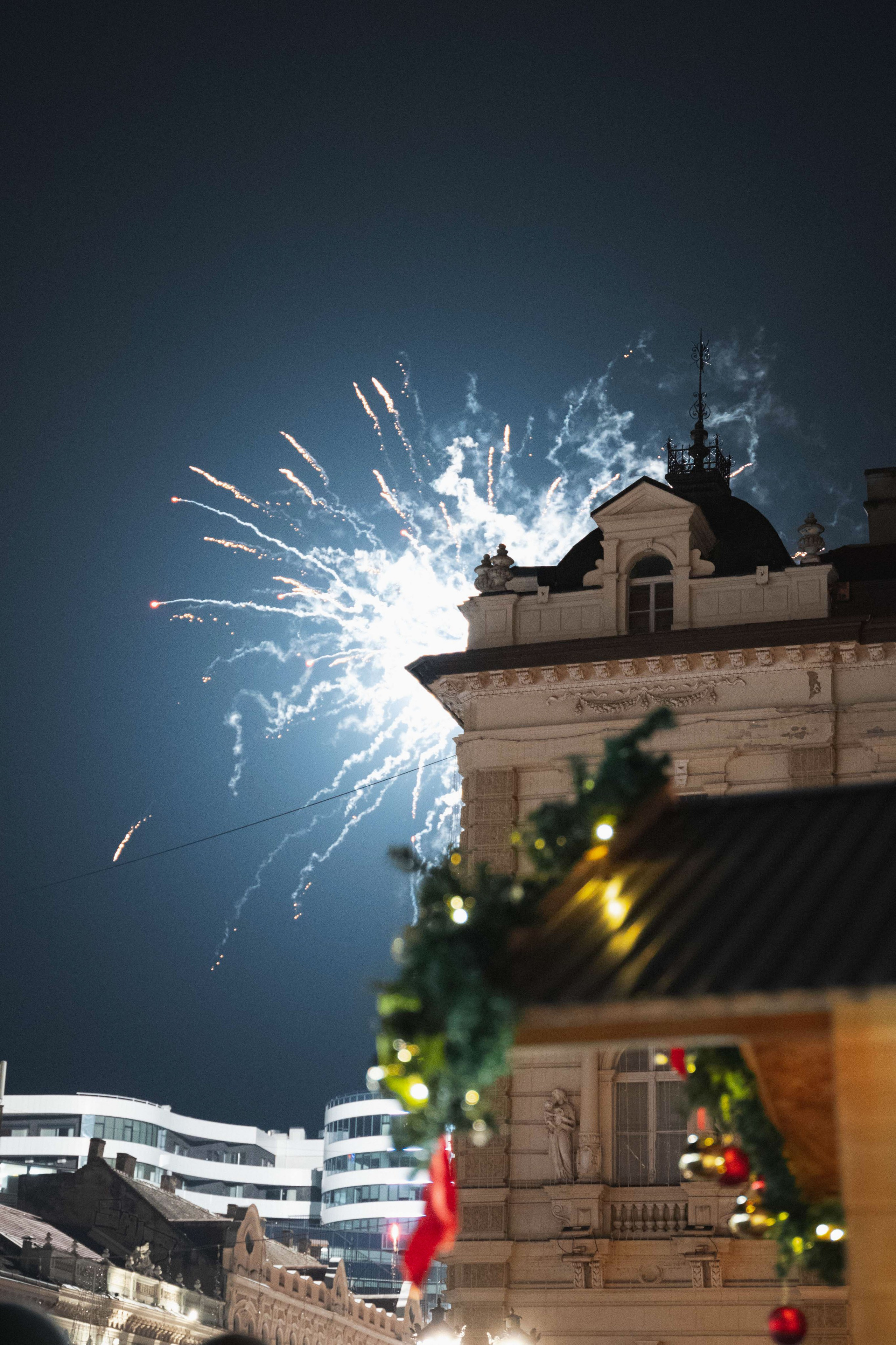 Novosadski Zimzolend. Жуков Студио