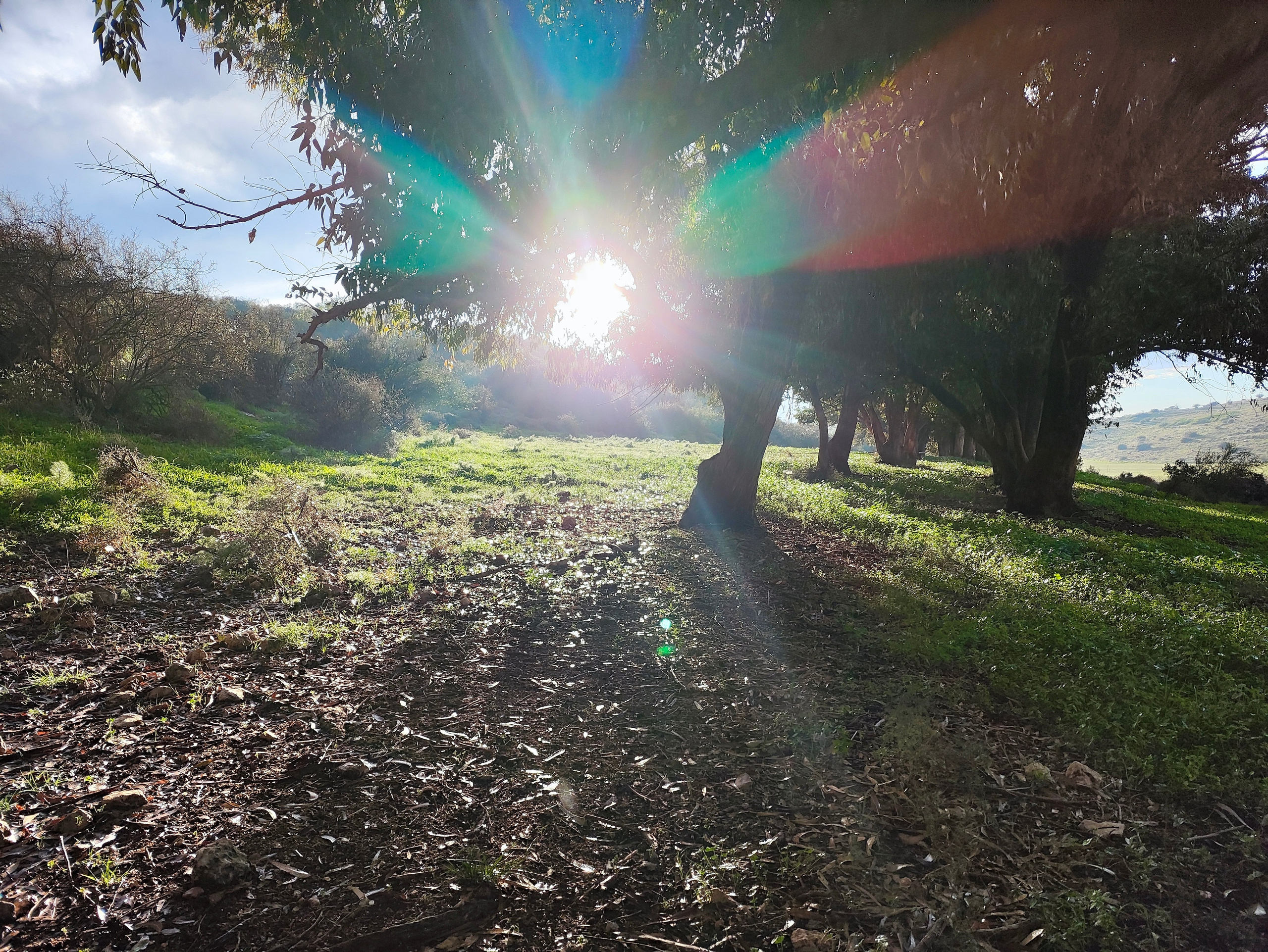 Аутентичный поход — Бейт-Гуврин | Клуб реконструкции Нортман. КРиС «Нортман»