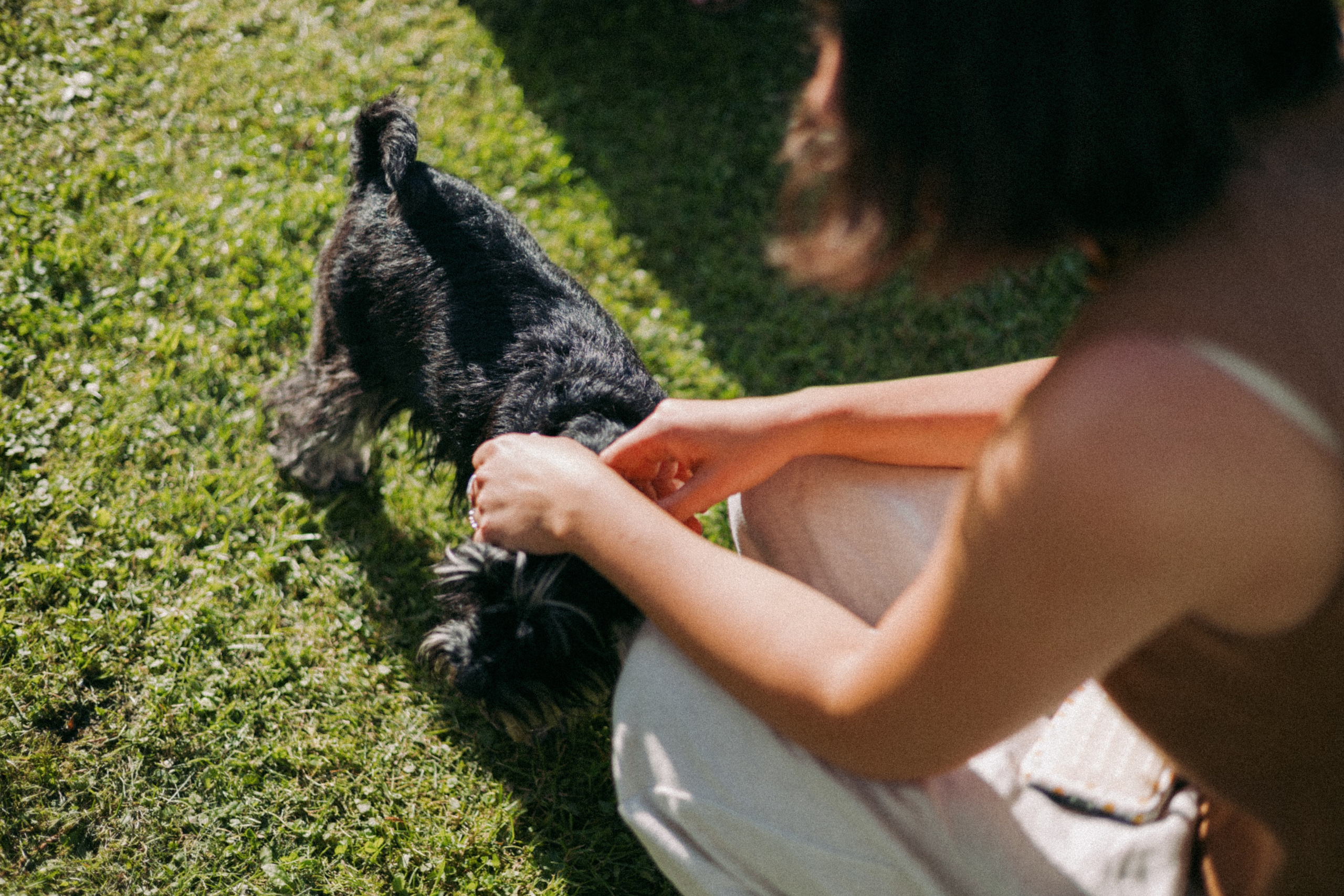 Vasara sode. Портретный фотограф Александра Самозванова
