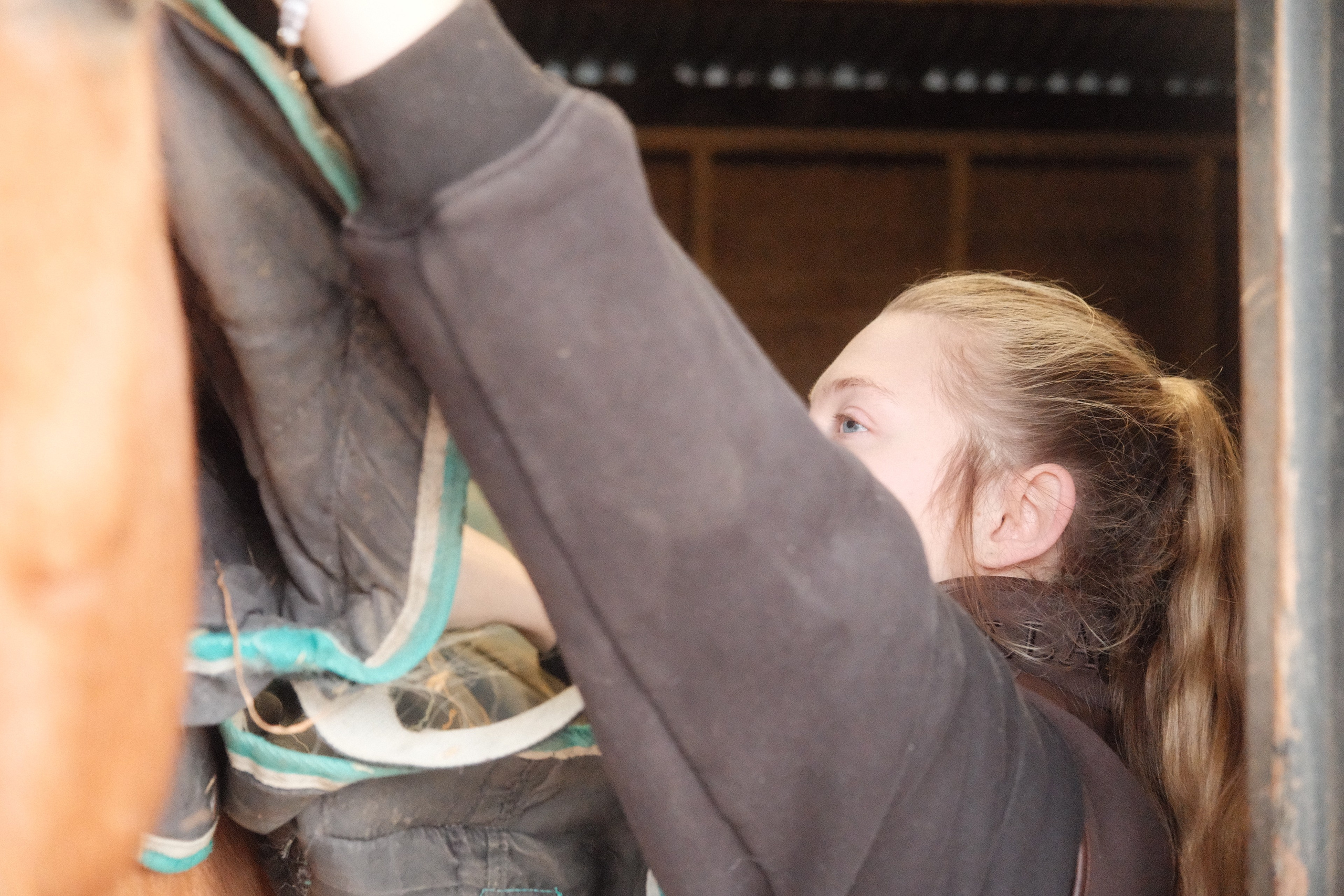 Portrait photography with Fudge the horse. Cal Takes Photos