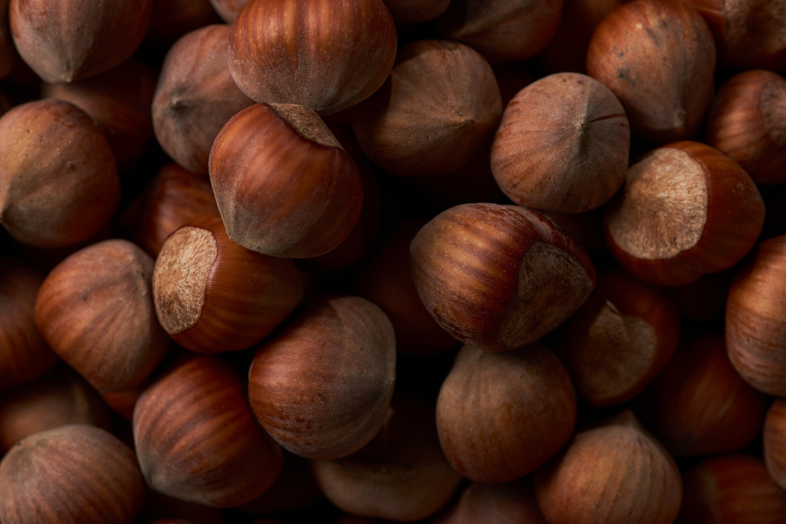 Product and food photographer in Brasov, Romania