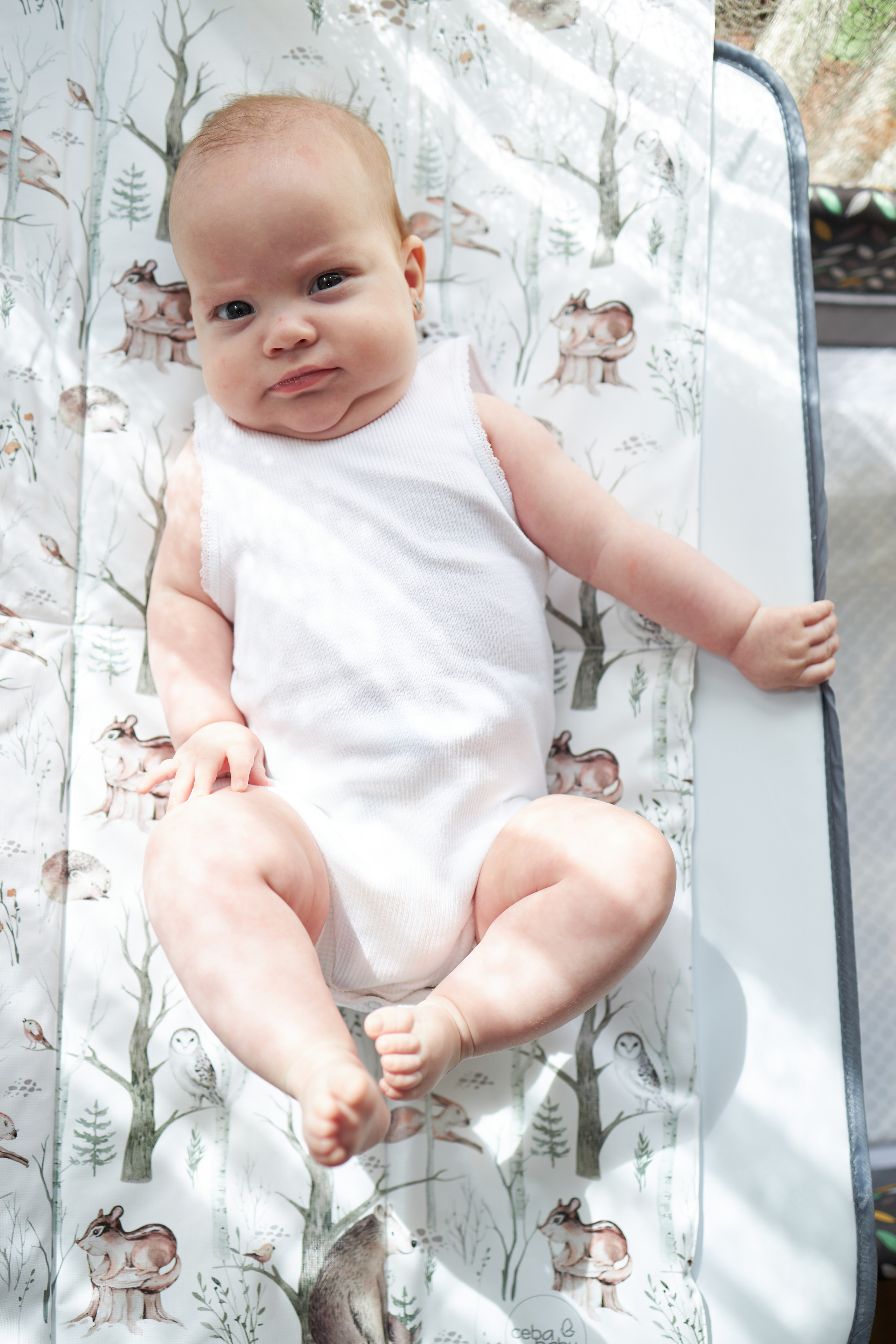 Cataleya. Product and food photographer in Brasov, Romania