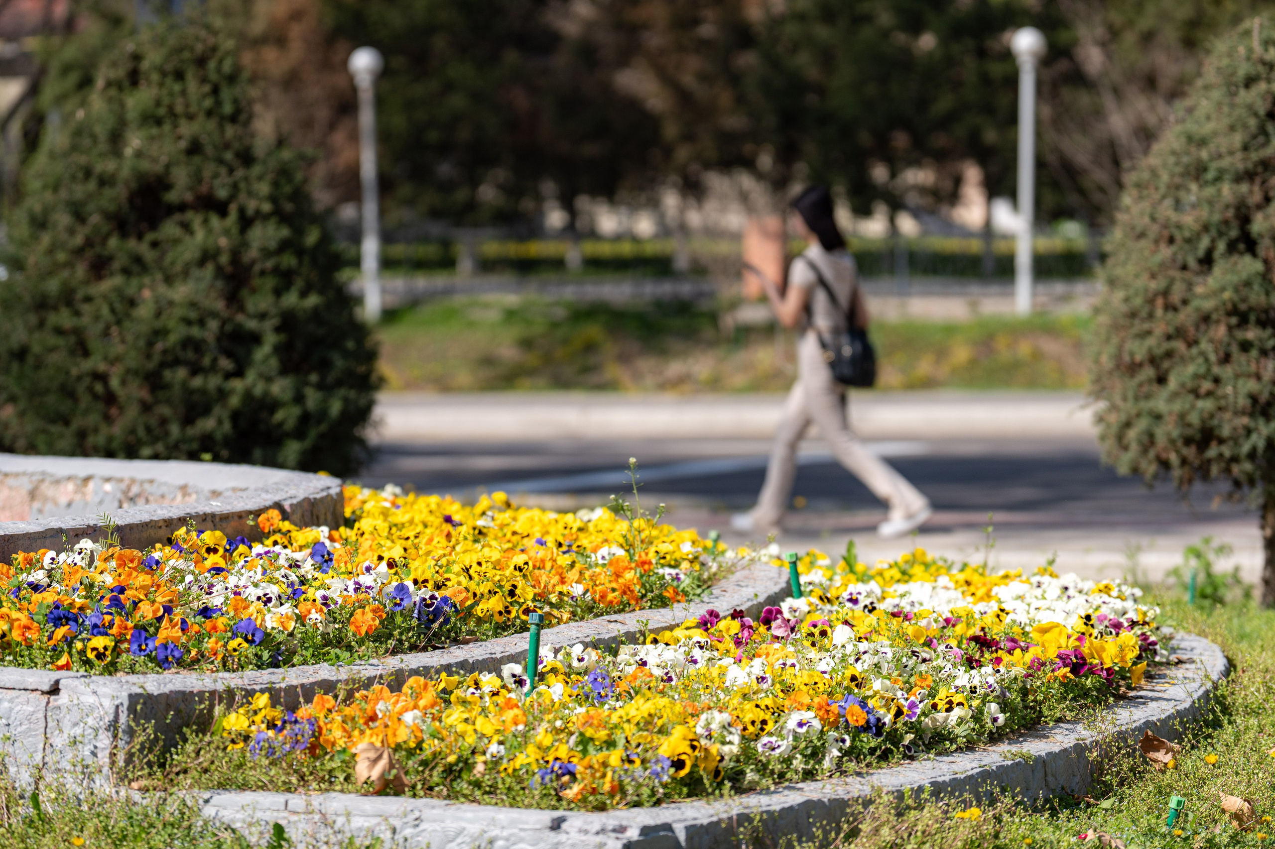 Весенний вайб Ташкента. Георгий Намазов | Фотограф в Ташкенте
