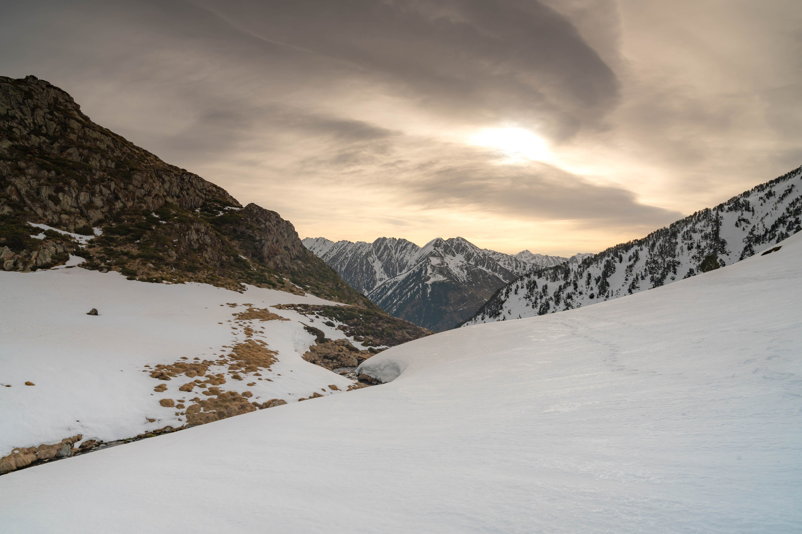 Ruta Comas de Fort. Alba del Norte Studio