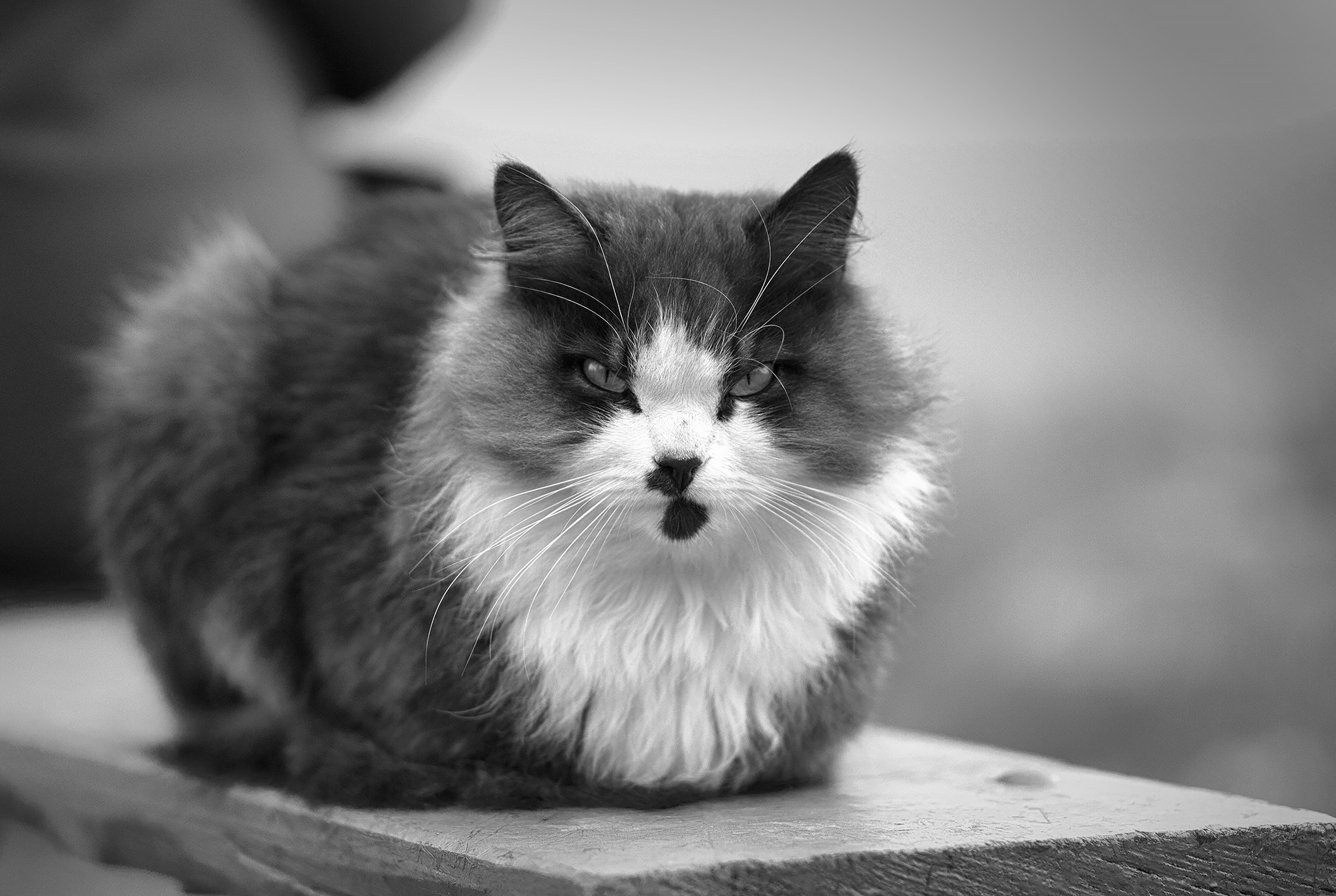 Природа Южноукраинск