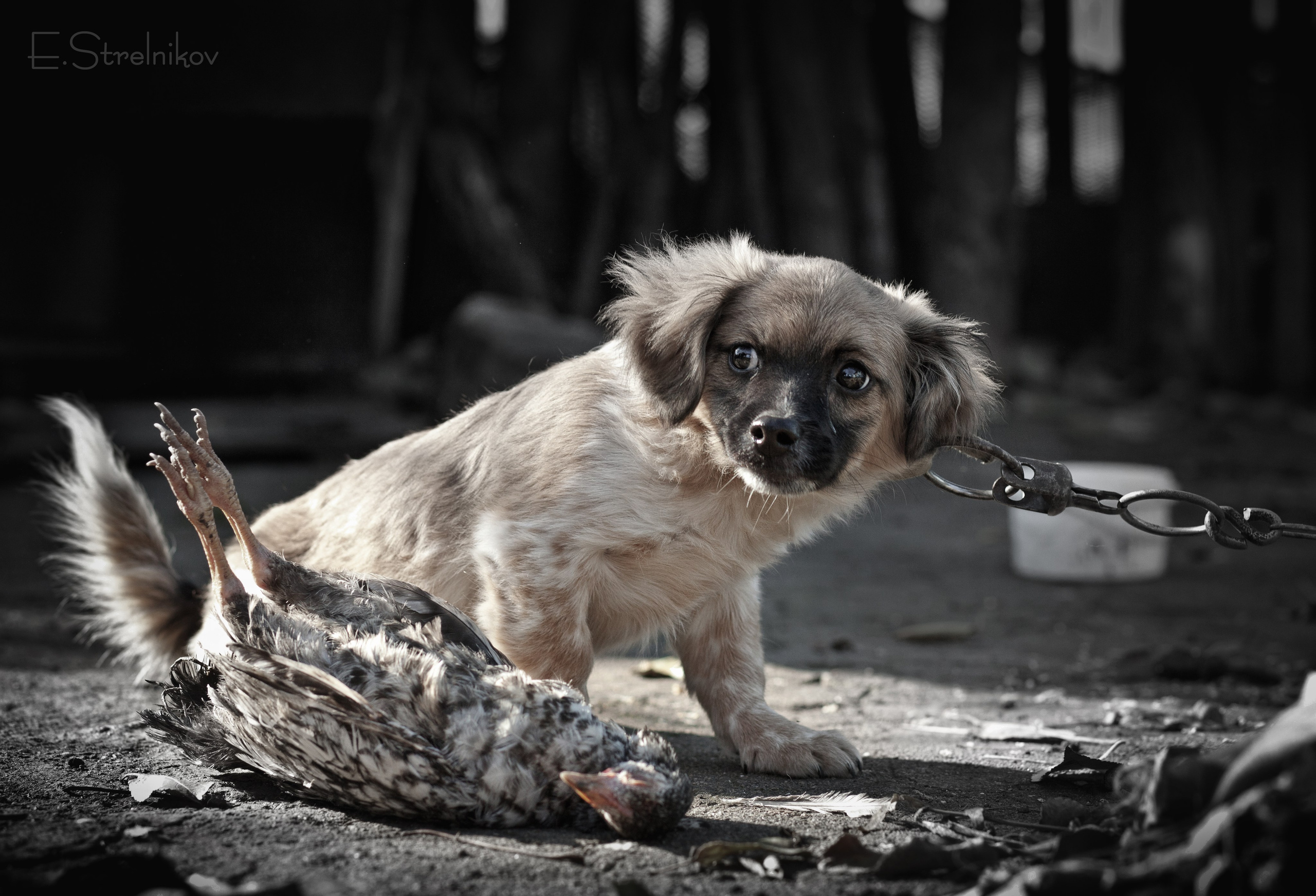 Предчувствие.