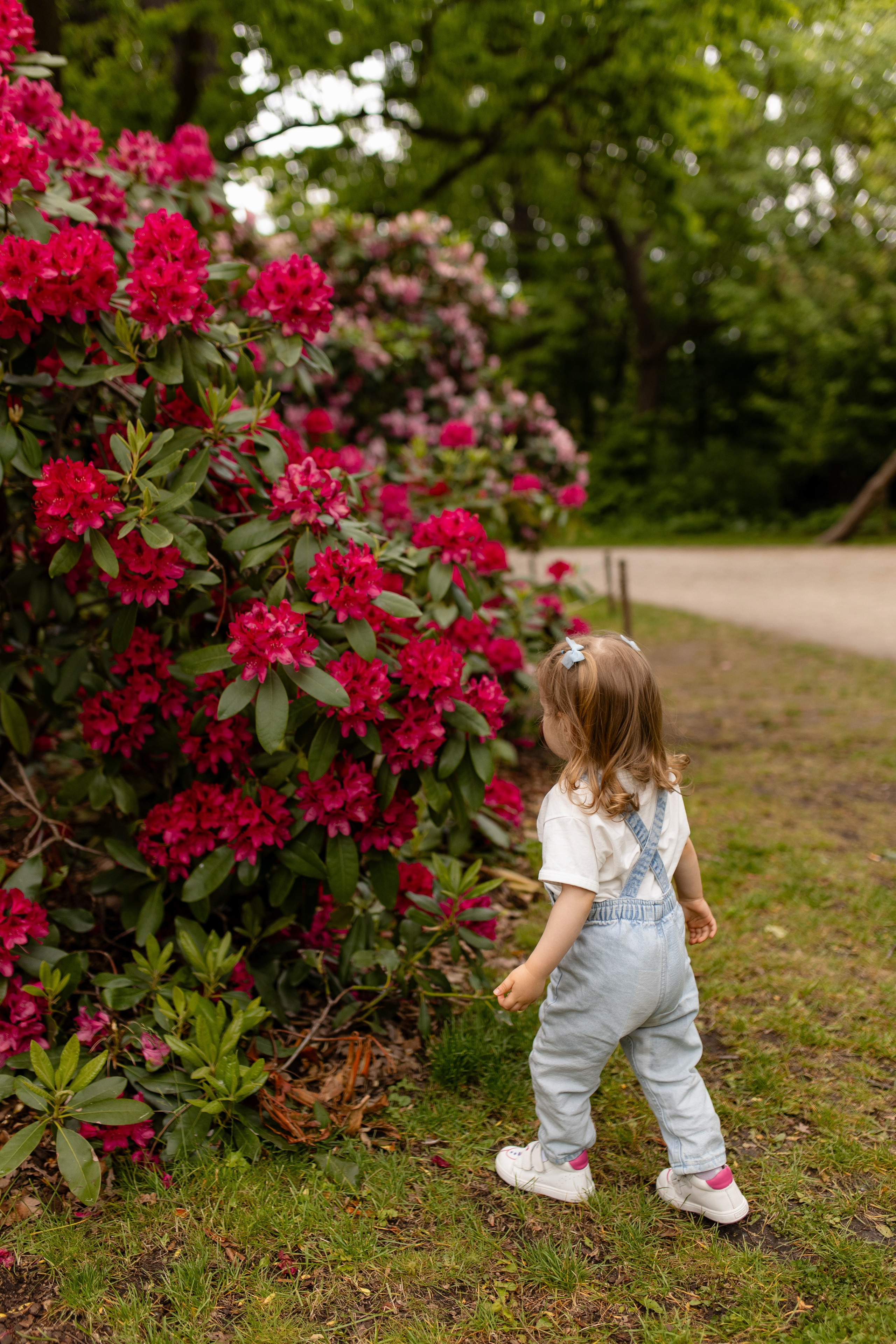 Настя Єва Денис. Весільний, сімейний фотограф Варшава