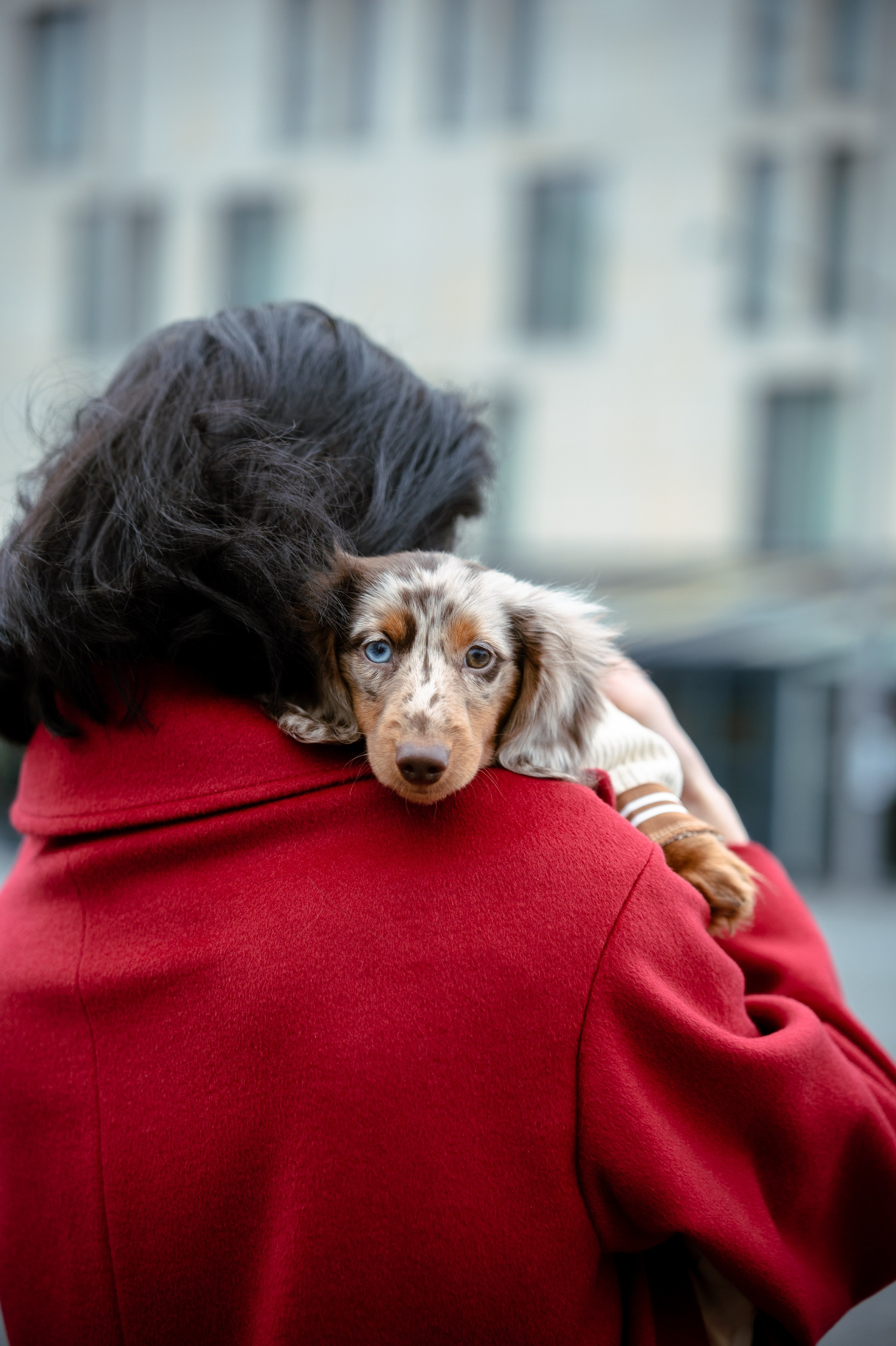 Olga, Christian & Isildur. Photo Vienna and Bratislava