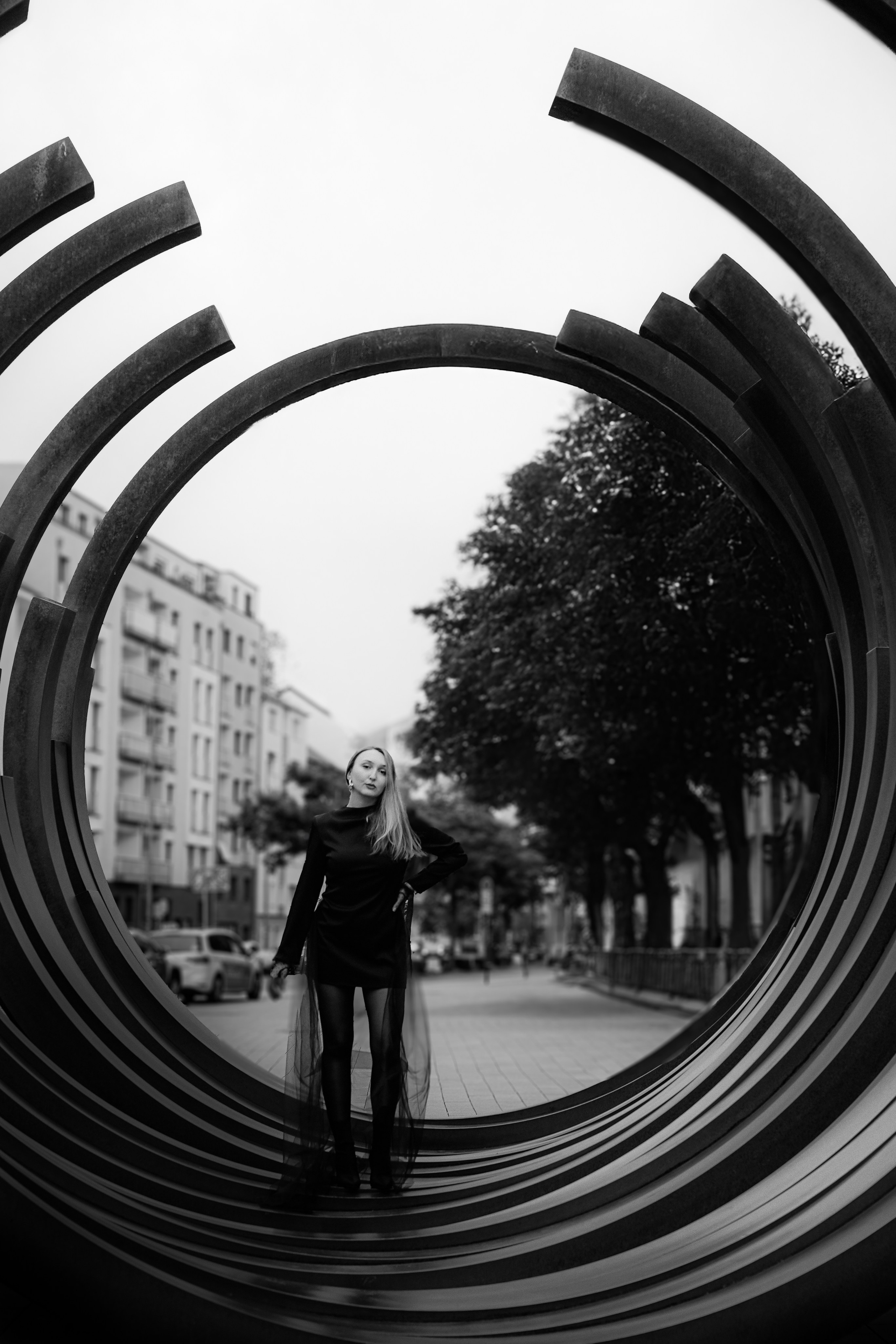 Duisburg schwarzer Schwan. Photograf NRW