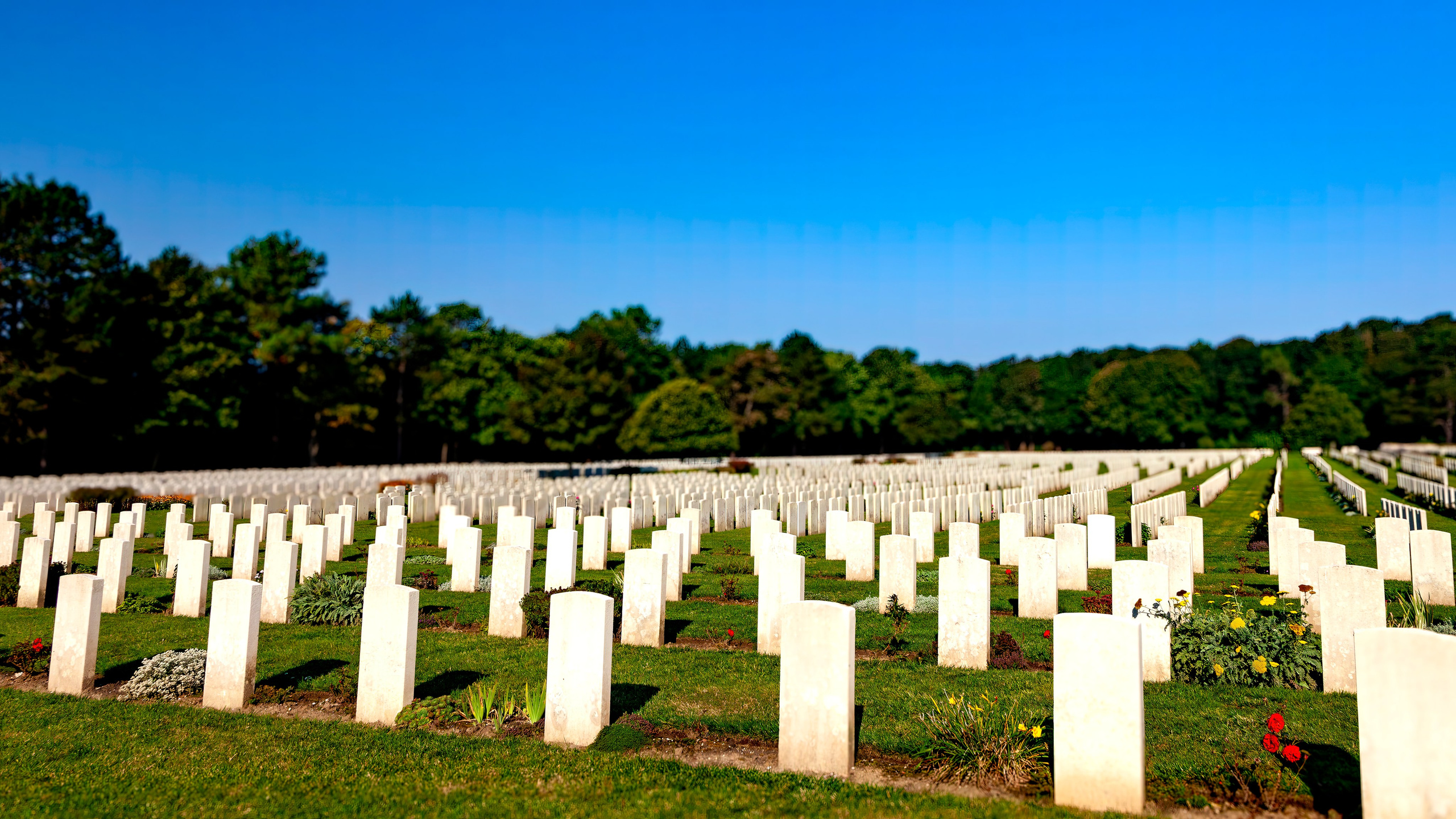 174.Étaples Military Cemetery.18.9.2024. Путешествия в формате 360......