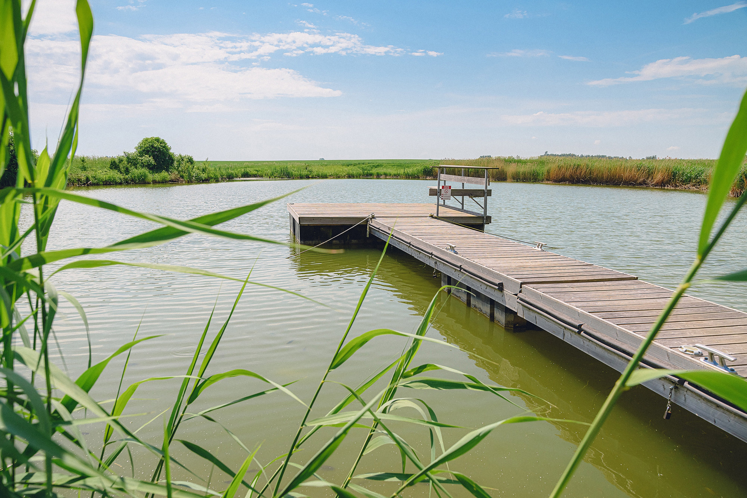 Atpūtas Komplekss “Miķelis”. Fotogrāfs Rīgā. Gīmenes, individuālās un dažādu produktu fotosesijas