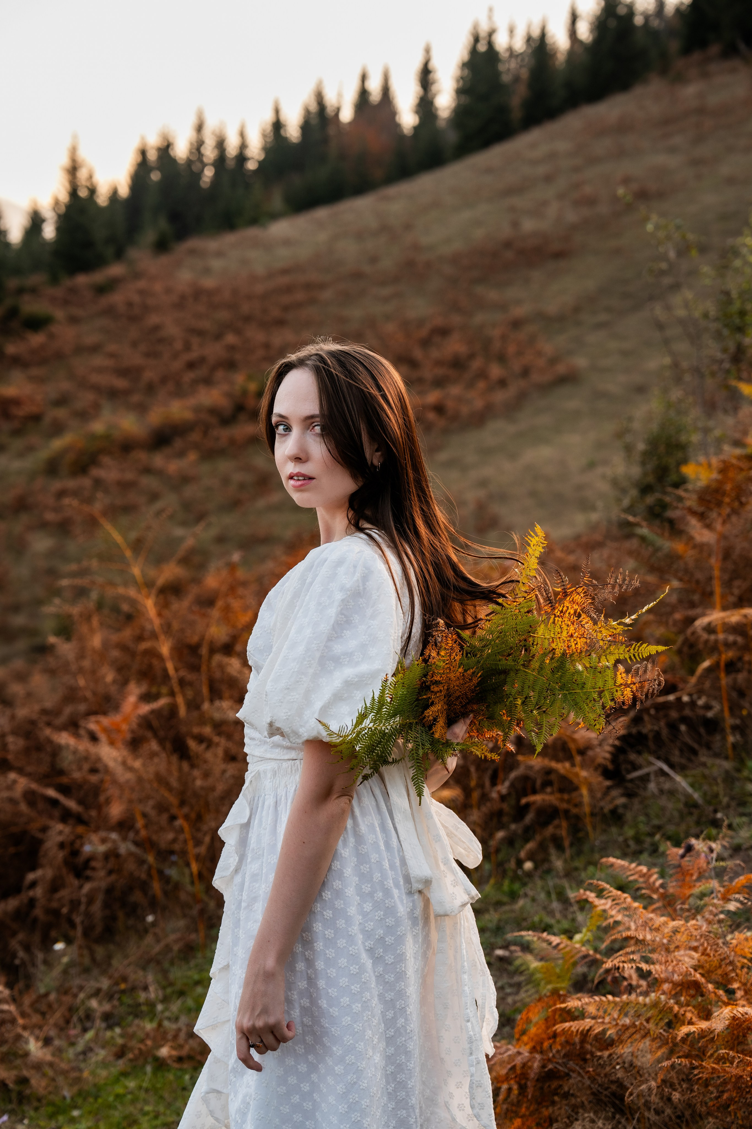 Golden Autumn. Ekaterina Verbitskaya. Photography