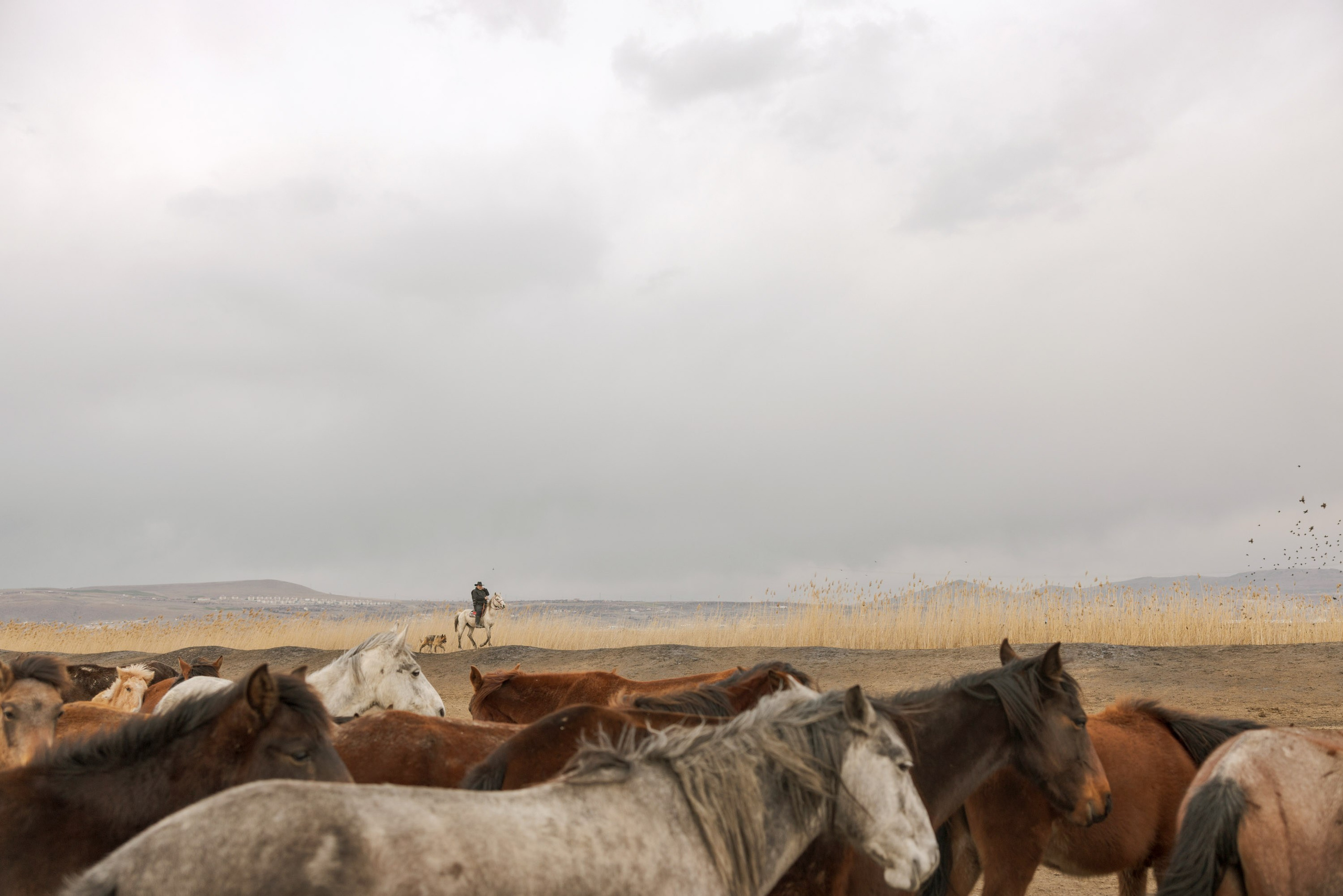 Hansika & Tanvir. Julia Ganch I Fashion Wedding Photography I Cappadocia Turkey