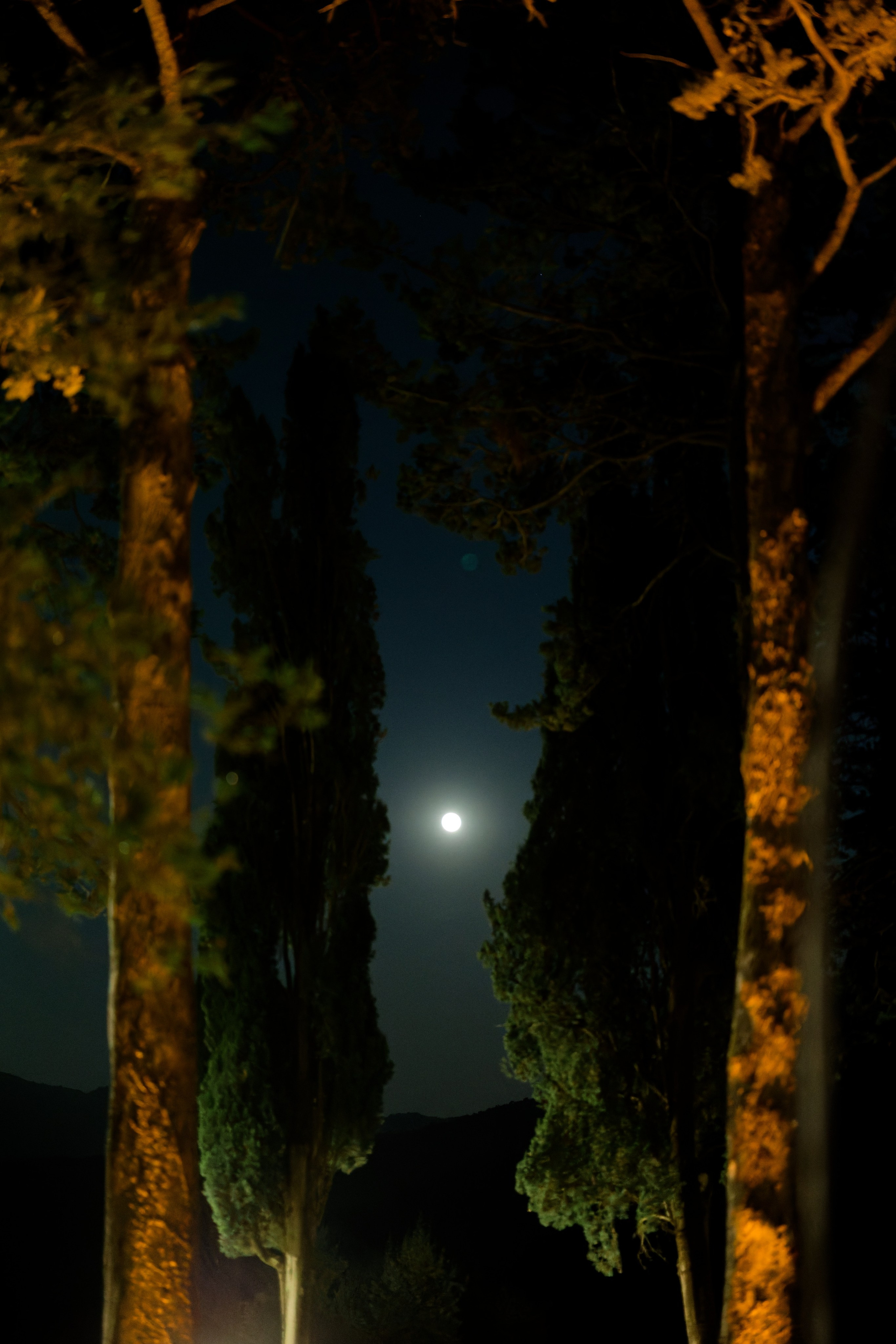 Wedding at Borgo Bastia Creti, Umbria Preview