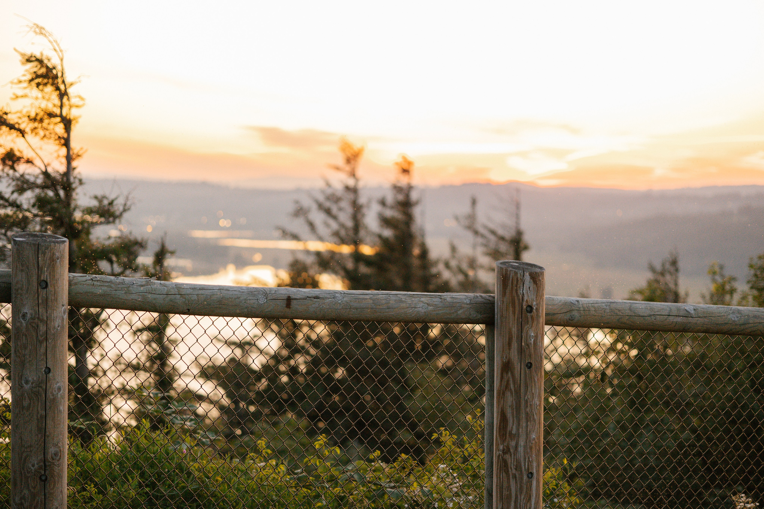 Sunset Serenade. Family photographer Oregon — Washington