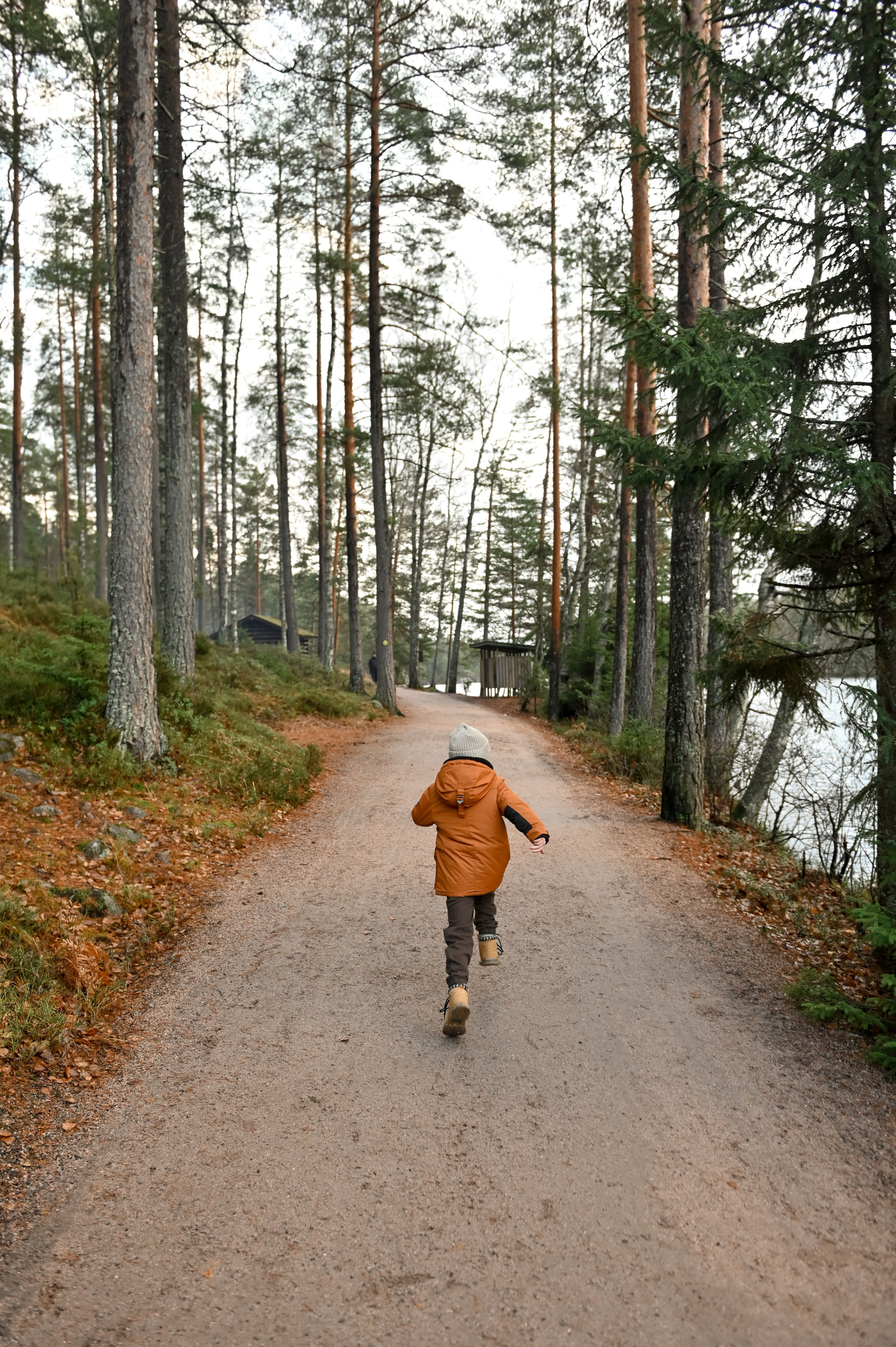 Пикник у озера. Детский и семейный фотограф в финляндии дина пулкка. контент фотограф