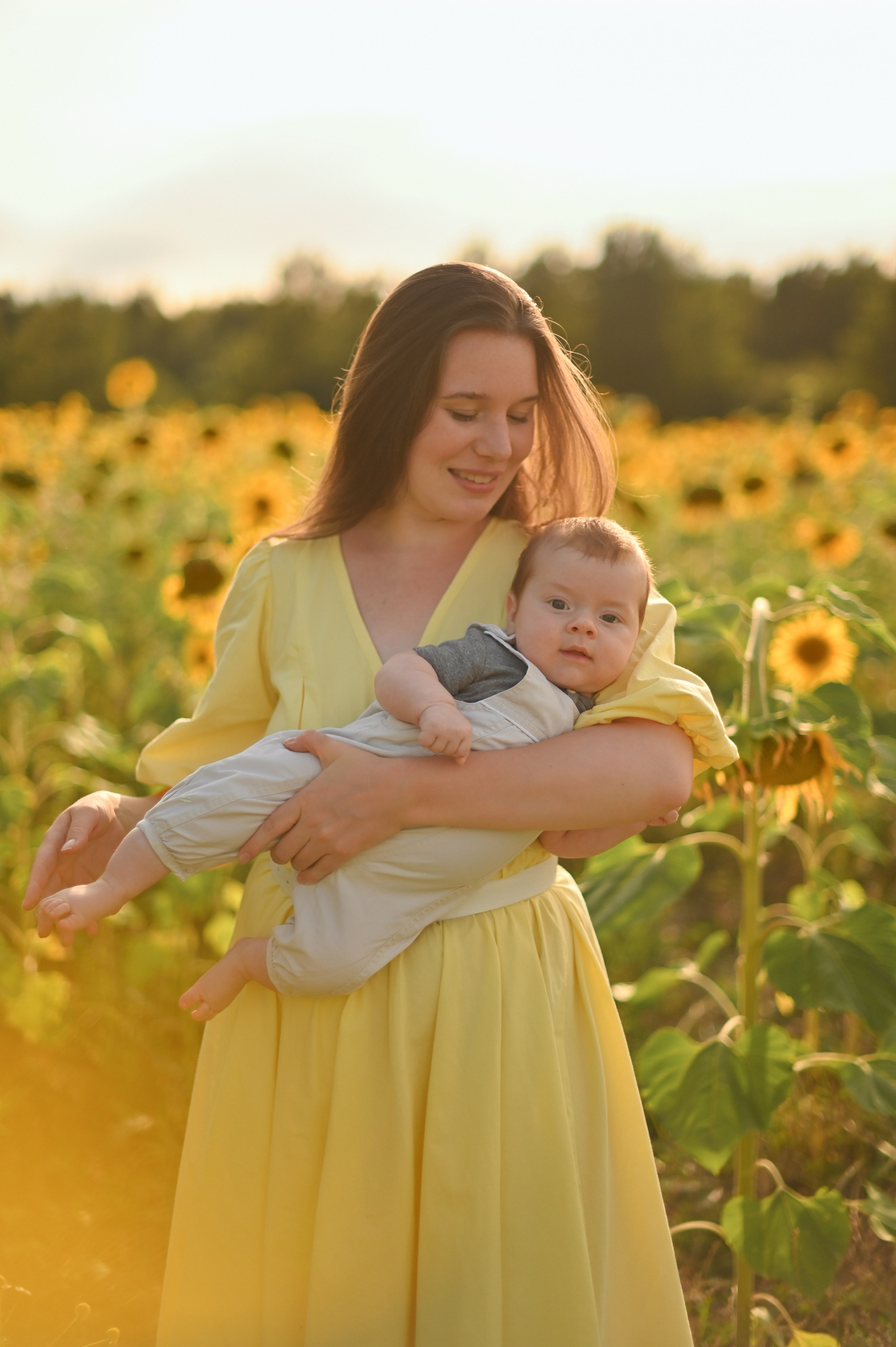 Подсолнухи. Детский и семейный фотограф в финляндии дина пулкка. контент фотограф