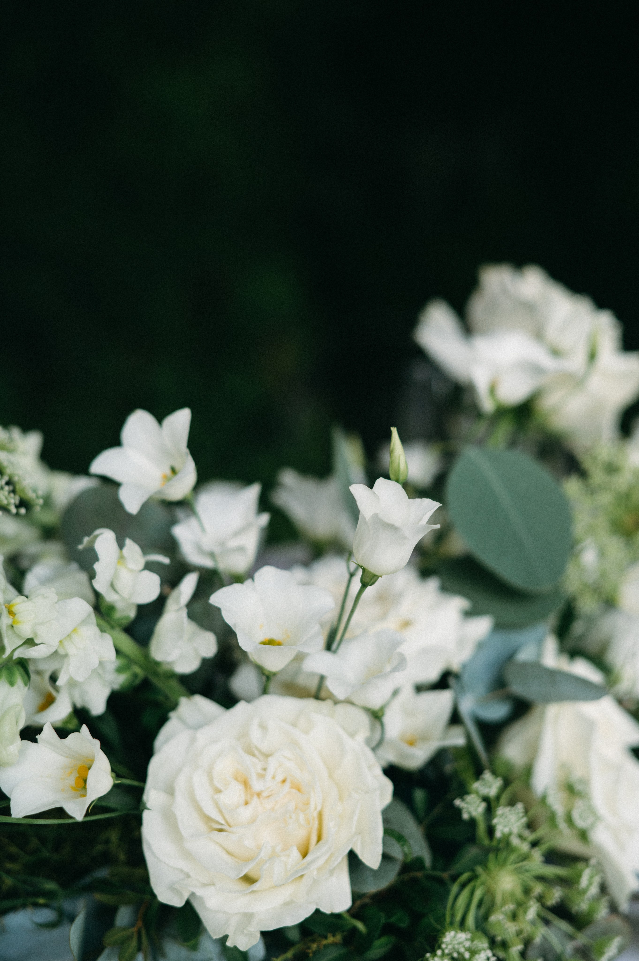 M & D, Relais Villa Vittoria. Фотограф в Итлаии — Свадебный фотограф Озеро Комо