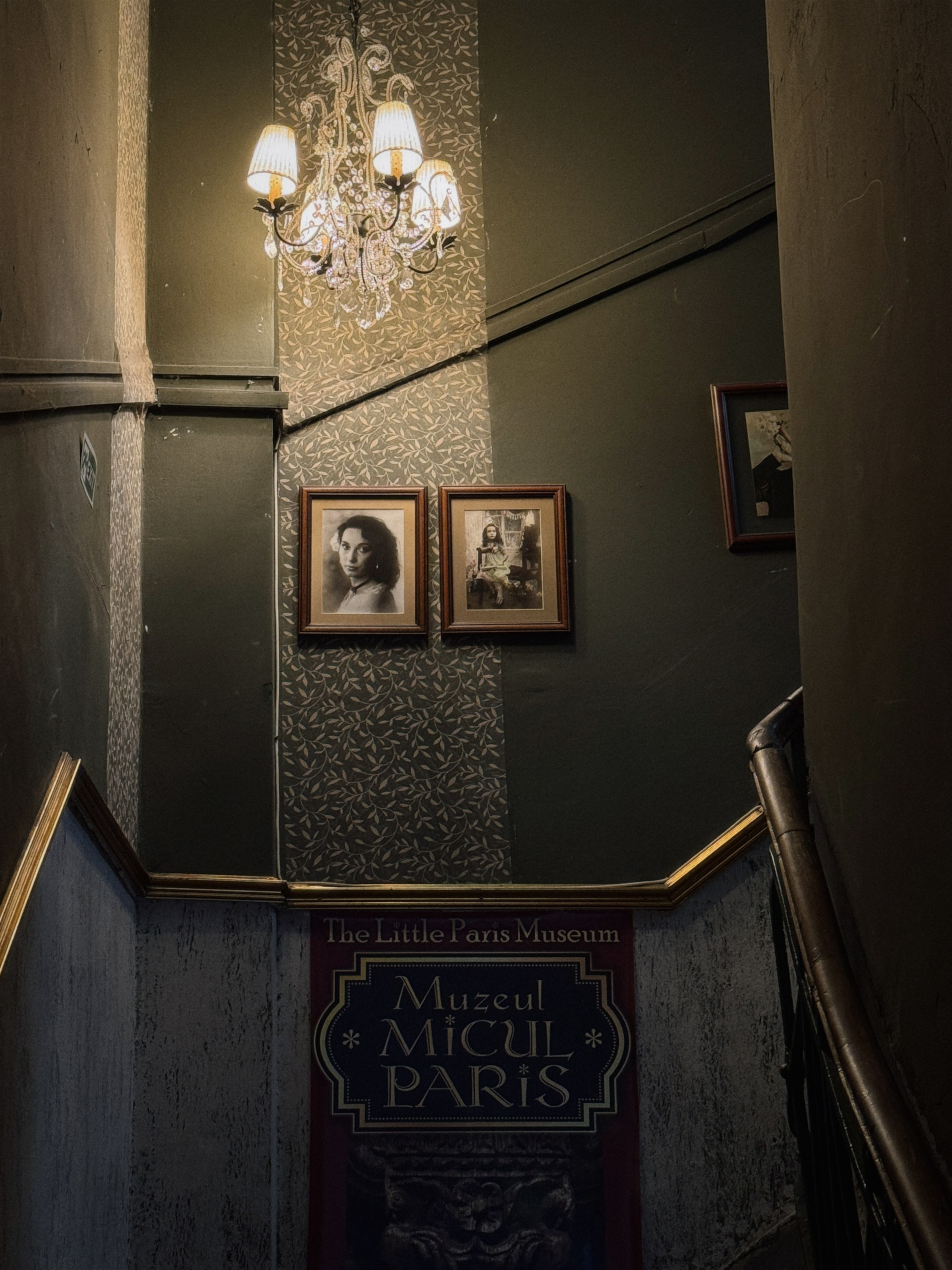 Моими глазами. Salut!