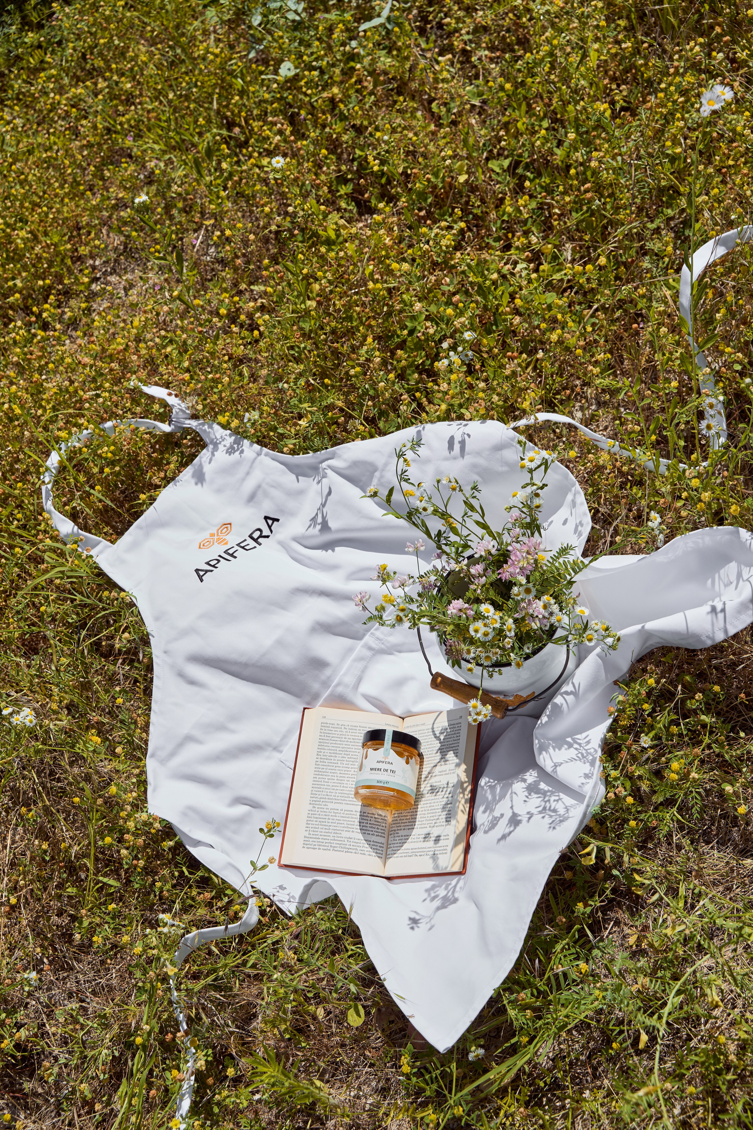 Apifera. Привет