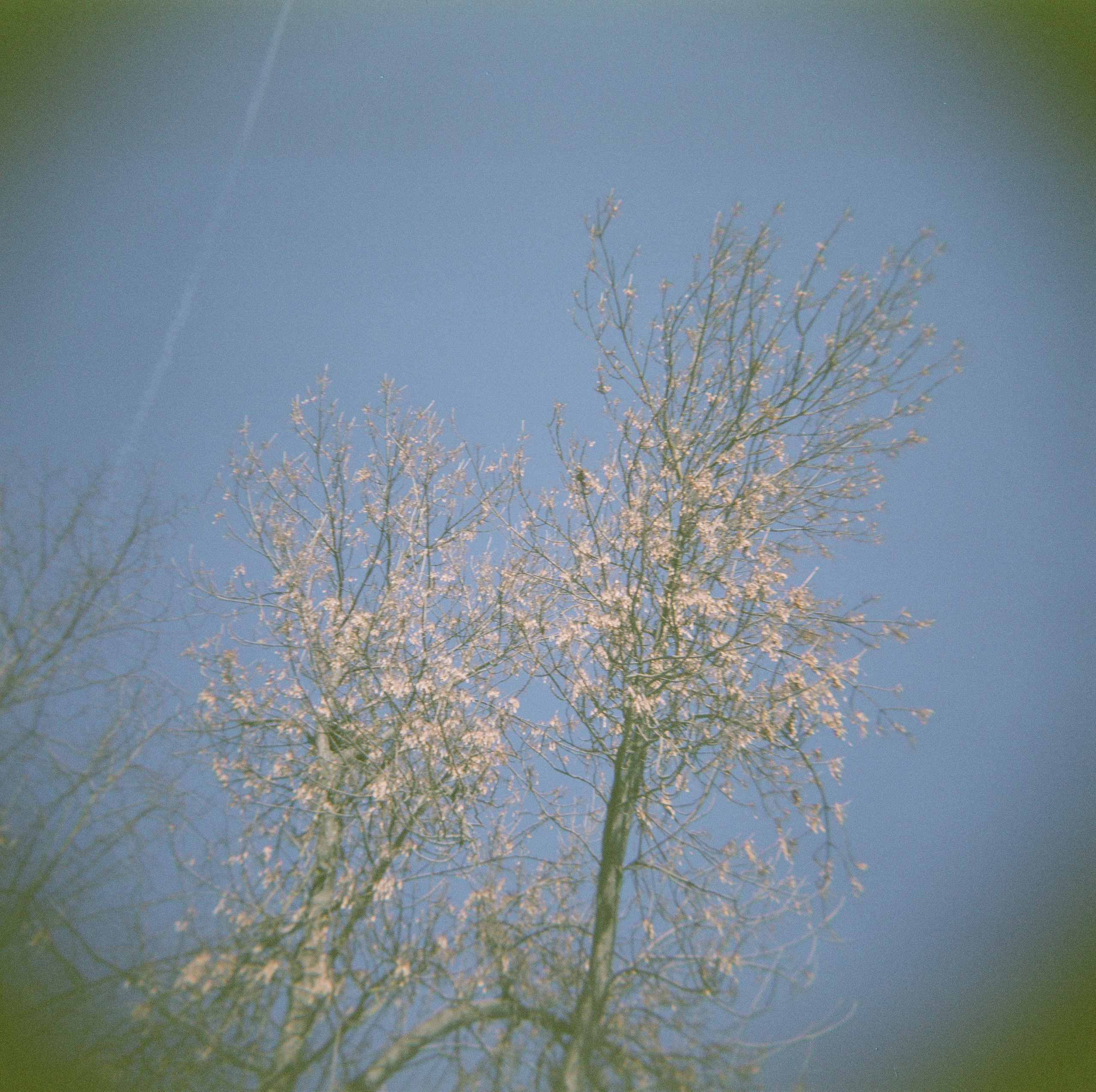 FADE. «Фотохроники»