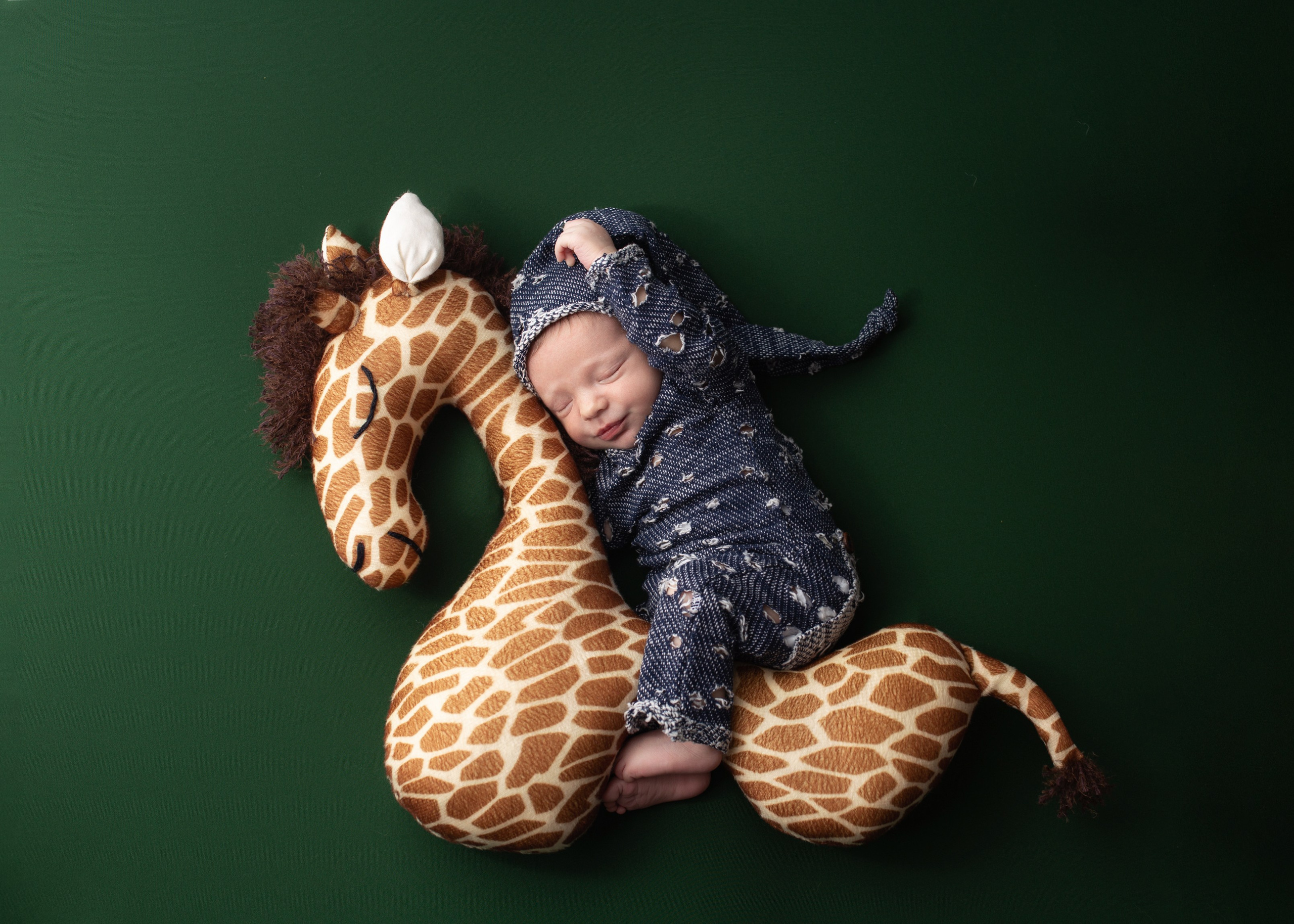 Каталог 12 Newborn. Катерина Шустерман — фотограф Newborn, семейный в Израиле