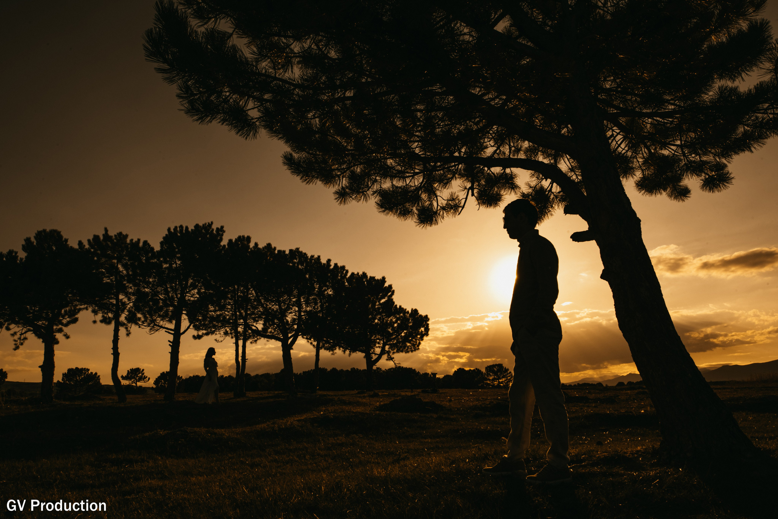 Arthur & Narine (pre Wedding). Wedding photos and video shooting in Armenia and all over the world!!! Photographer in Yerevan