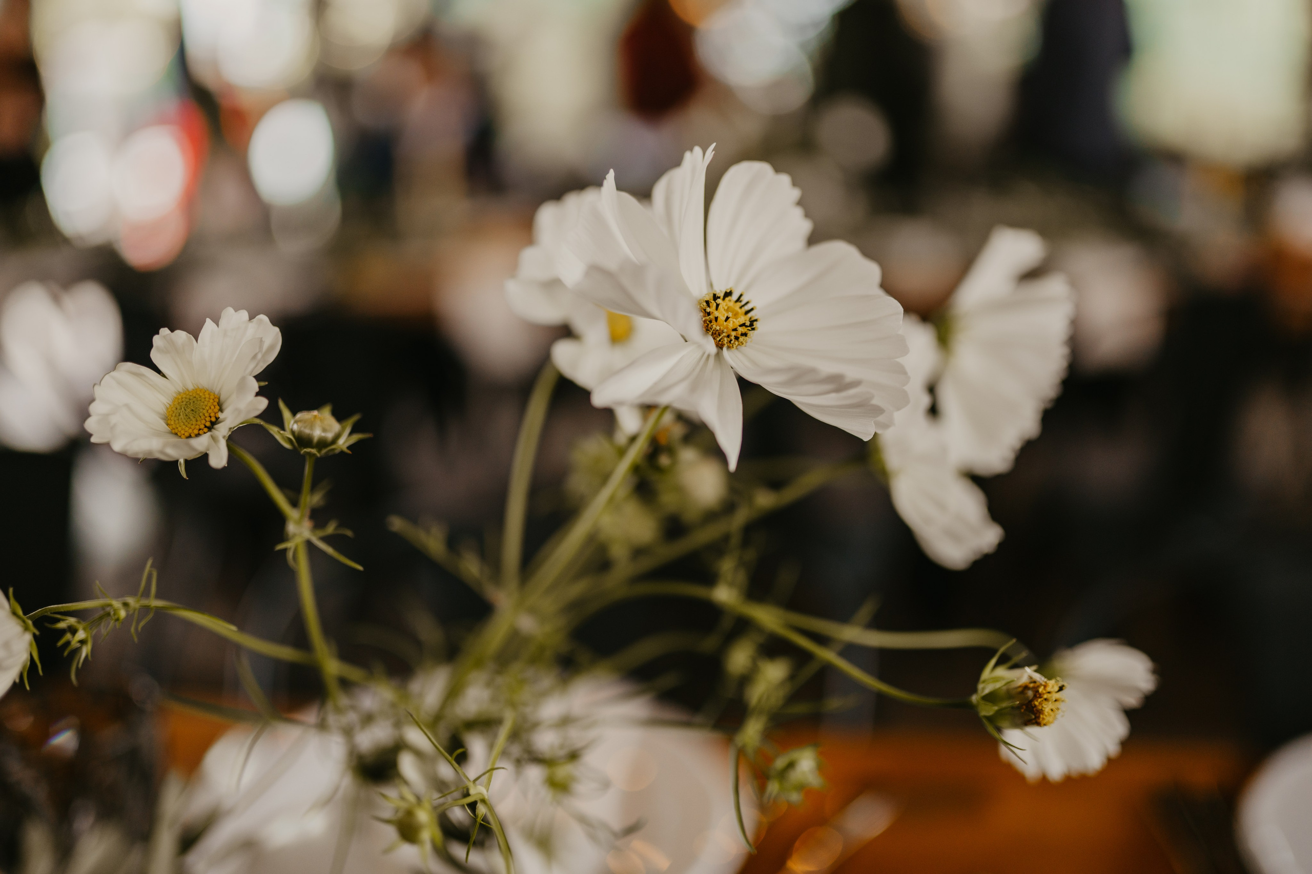 Ame & Mihai. Gabrielacojocariu.com