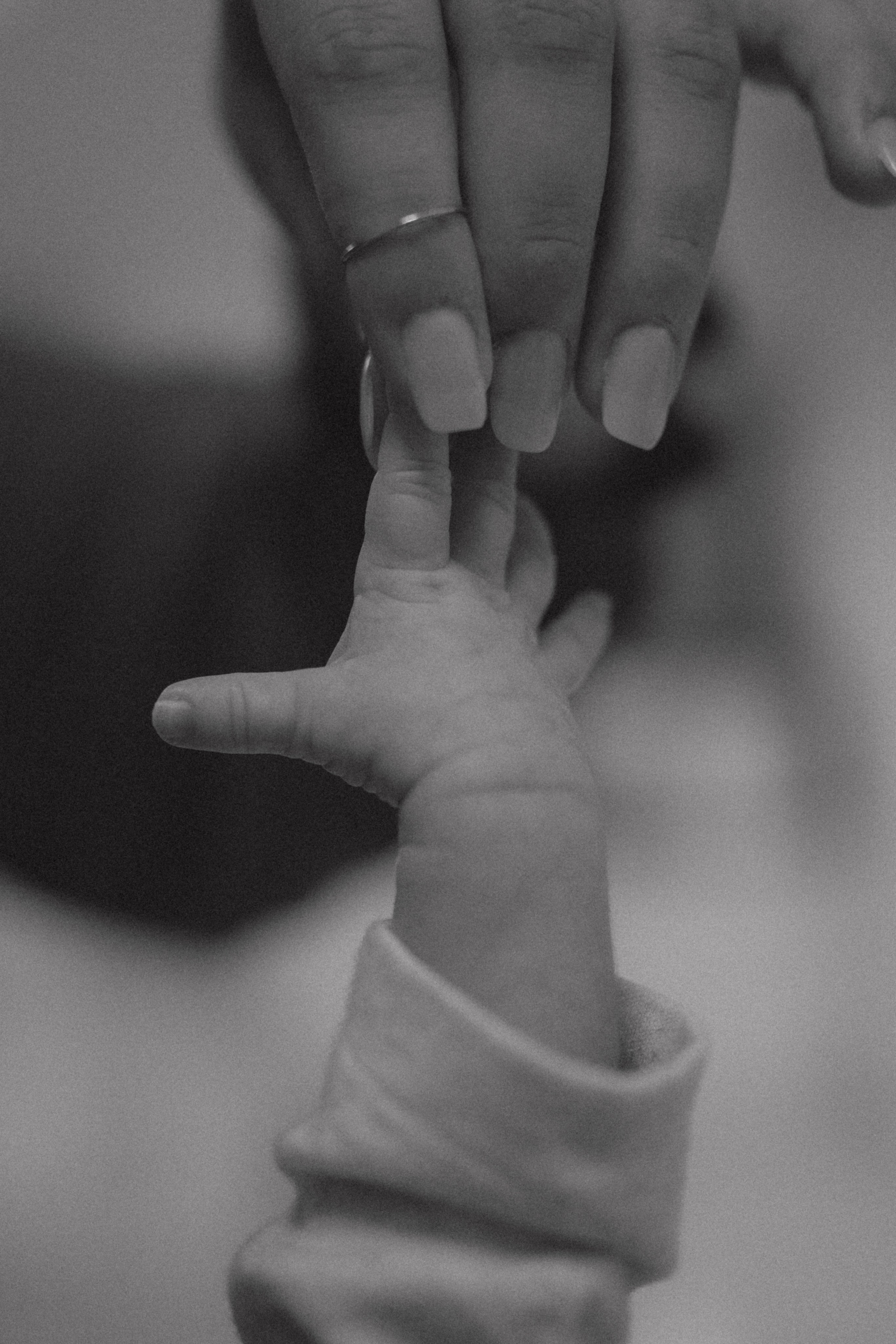 Katerina Sellitti - Newborn Fotografin aus Bern. Schweiz