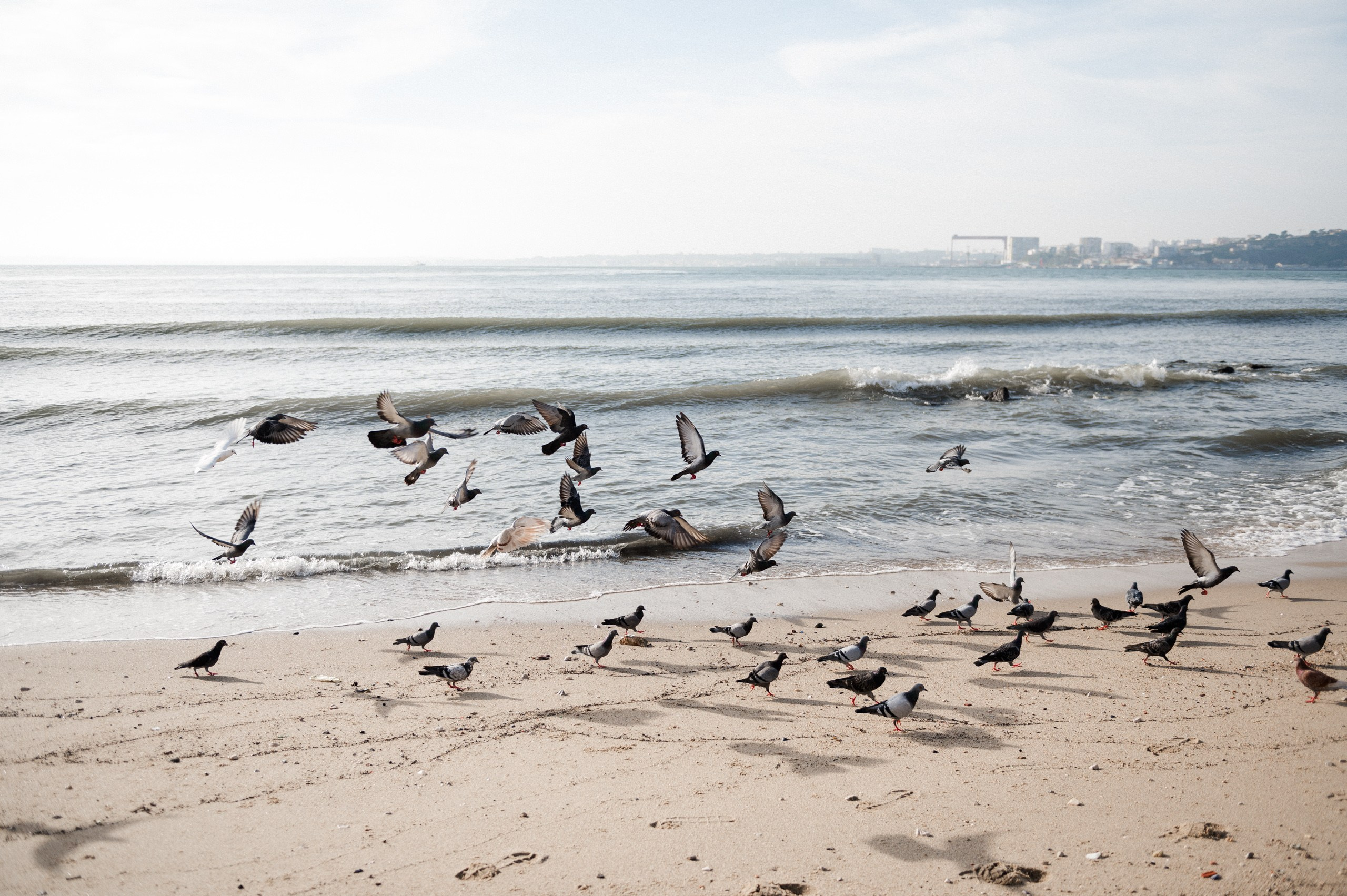 family photographer in Lisbon, Lisbon family photoshoot, vacation family photographer Lisbon, family vacation photography Lisbon, professional family photographer Lisbon, family photo session Lisbon, family photos Lisbon Portugal, family portrait photographer Lisbon, Lisbon photographer for tourists, Lisbon holiday photographer, Portugal family photographer, Lisbon vacation photos, traveling family photos Lisbon, family travel memories Lisbon, family trip photo session, photos for families on vacation, photo shoot for families visiting Lisbon, family-friendly photographer Lisbon, kids and parents photo shoot Lisbon, family experience photographer Lisbon