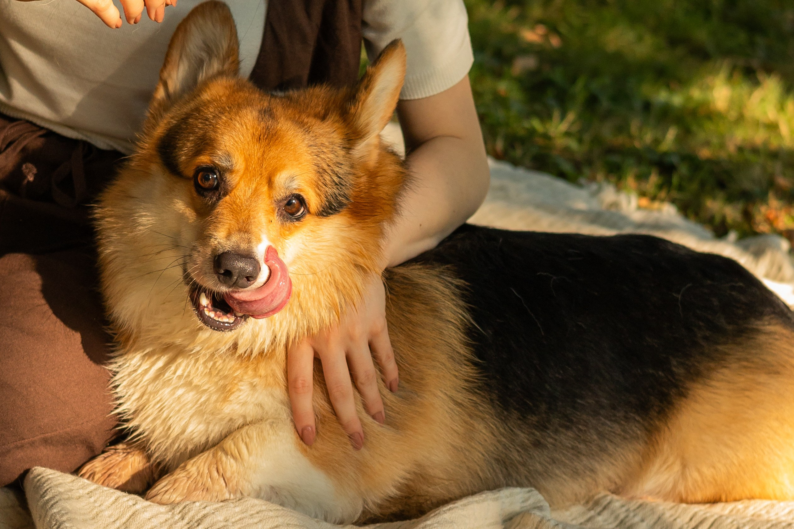 Мария и Санти. Фотограф-анималист | Белград