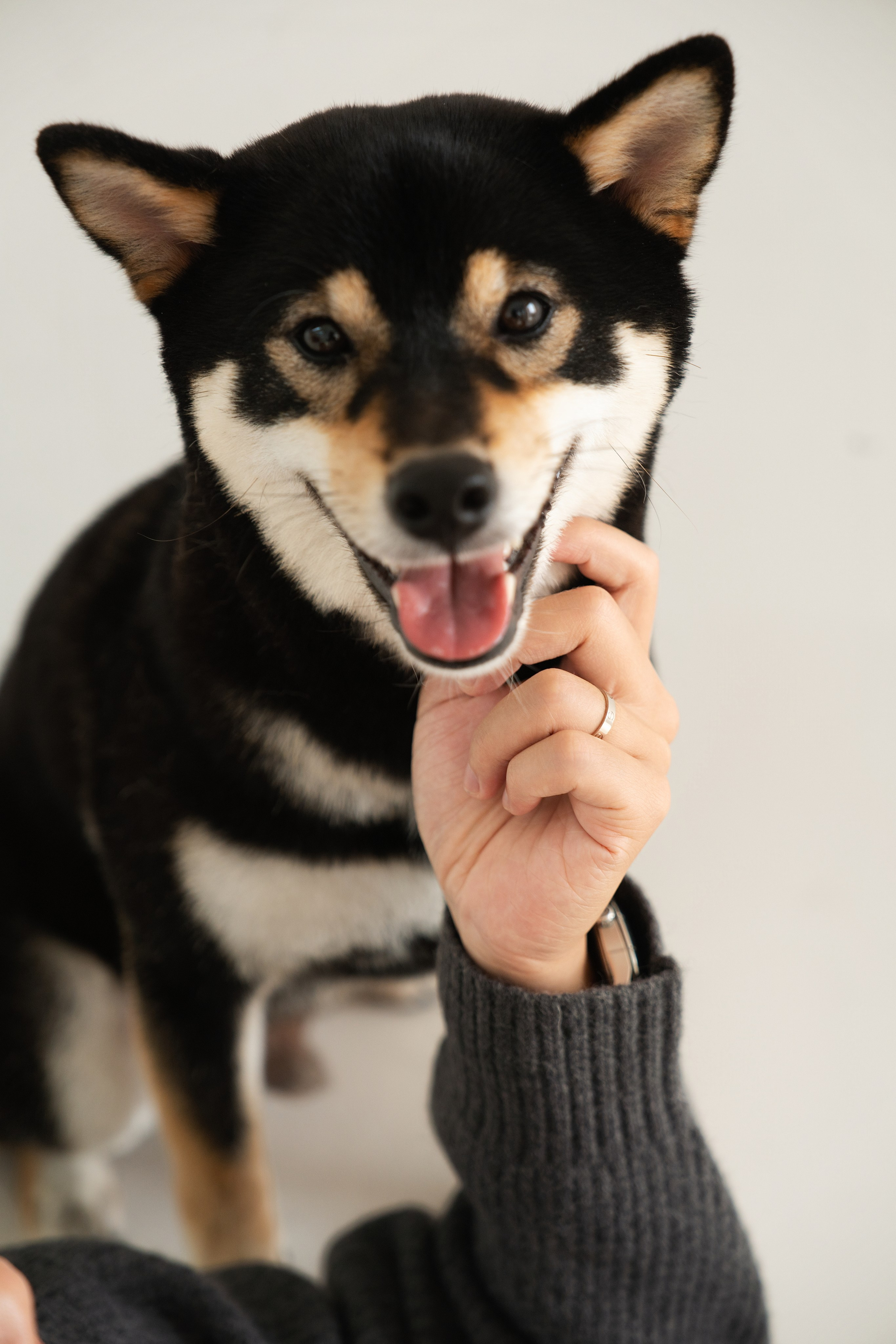 D & K. TheLoveMuseum