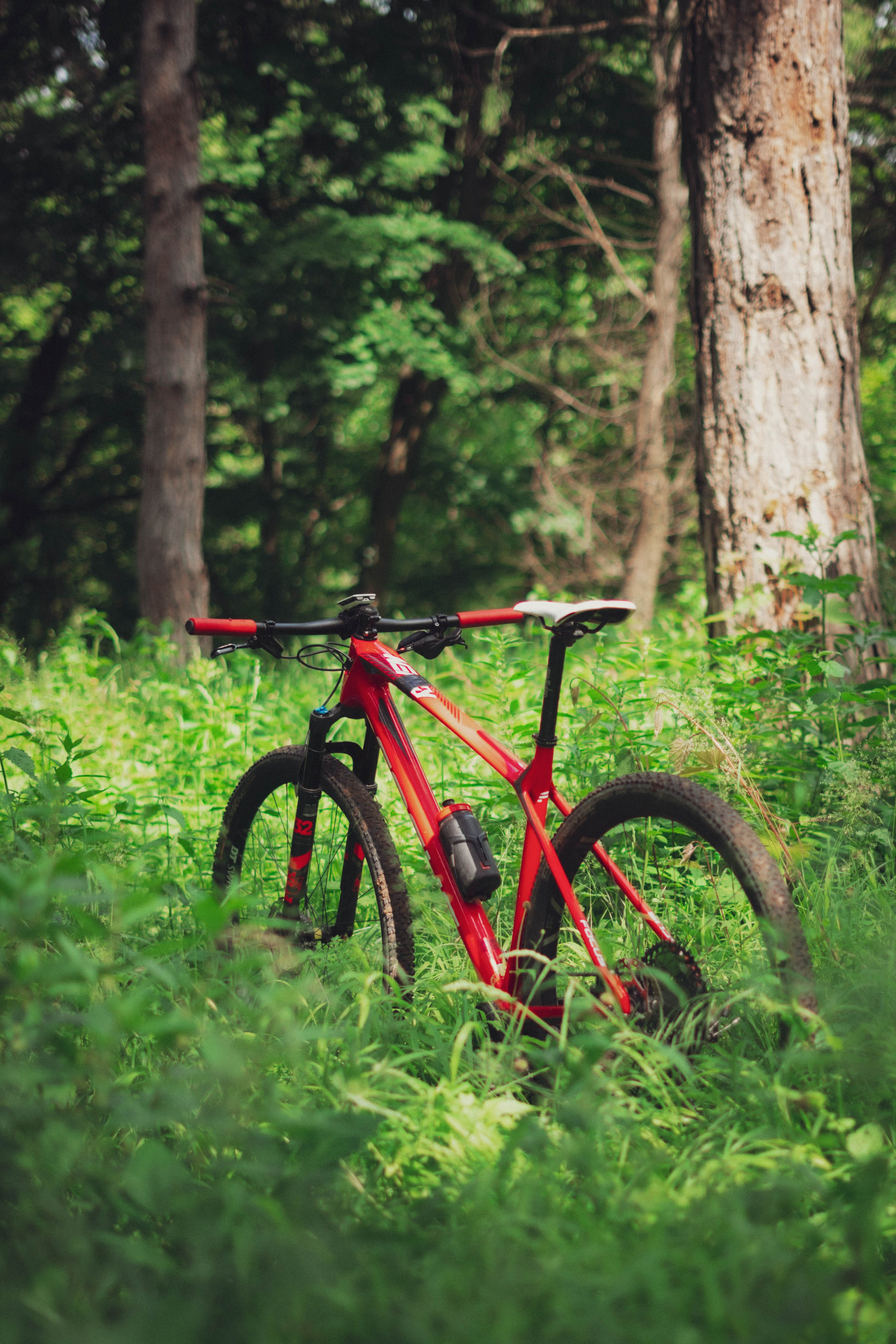 Redbull. Жуков Студио