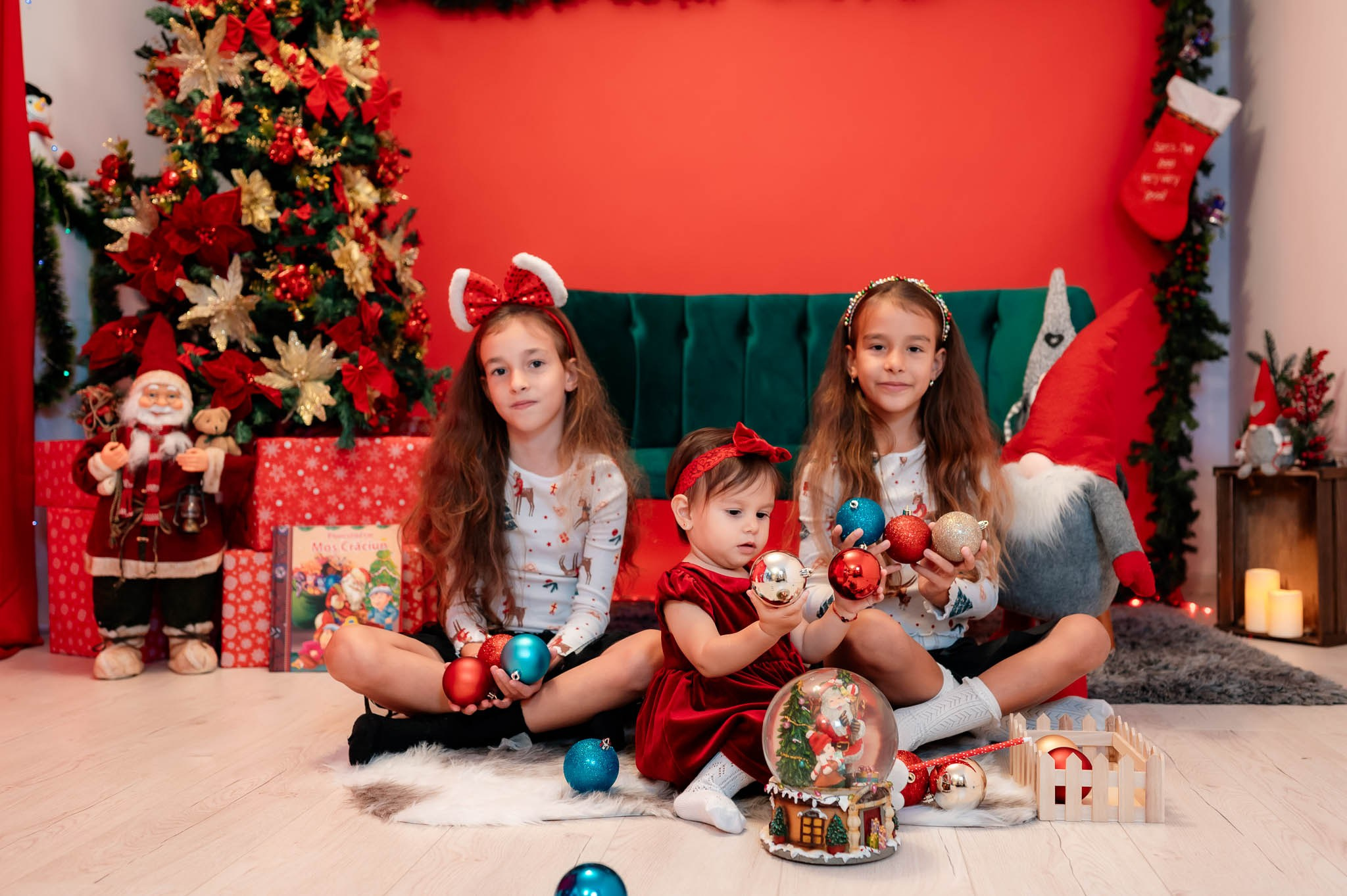 Sedinta Craciun Alina