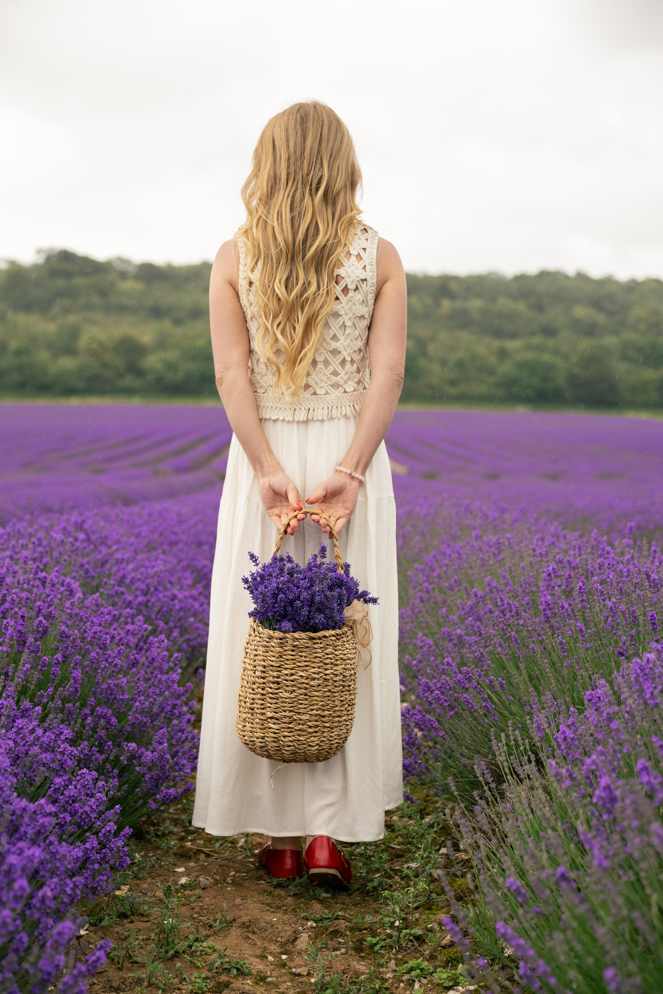 Lavender Picnics. PHOTOGRAPHER IN LONDON